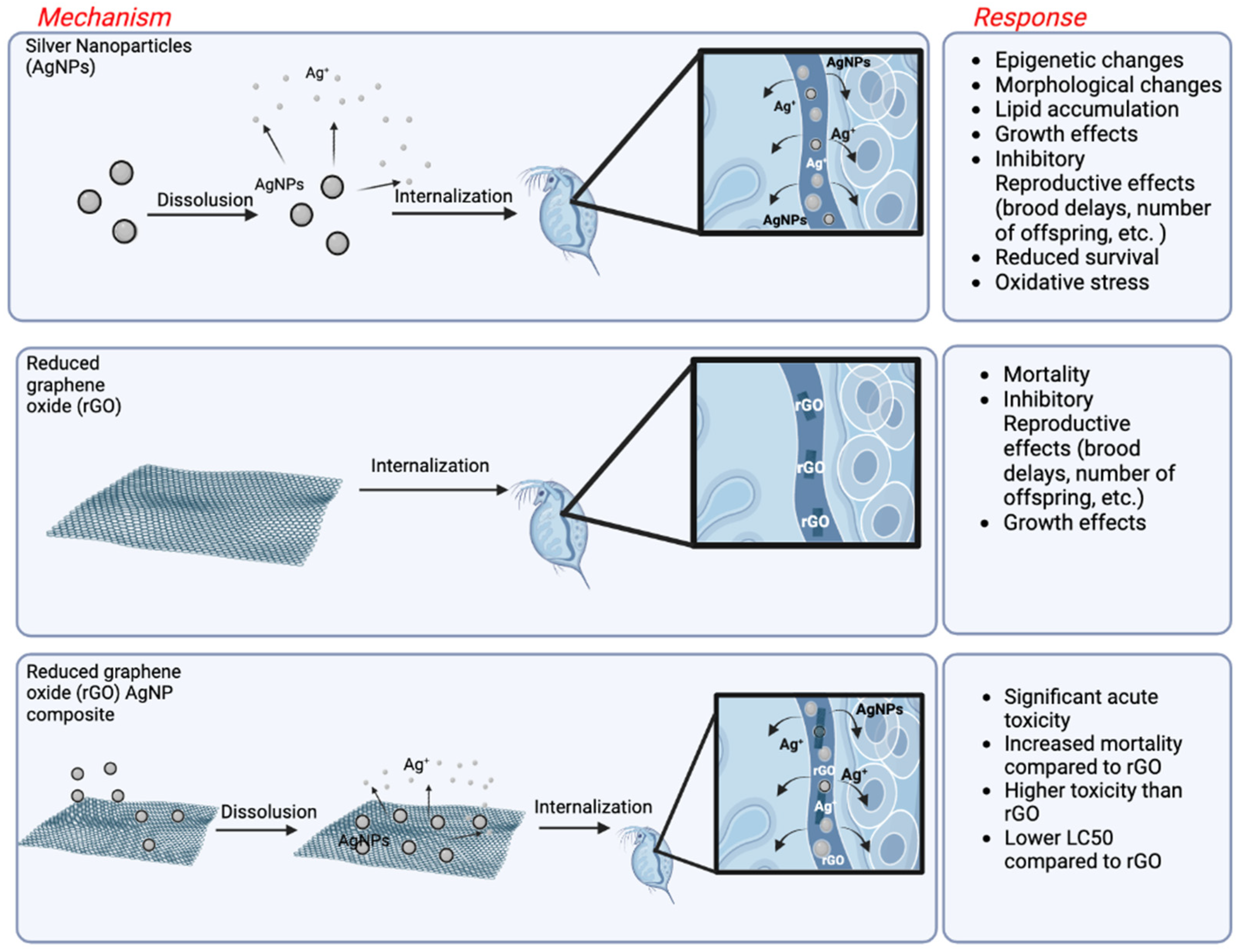 Biosensors 12 01082 g004