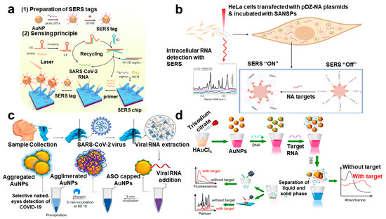 Biosensors | Free Full-Text | Recent Development in Plasmonic ...