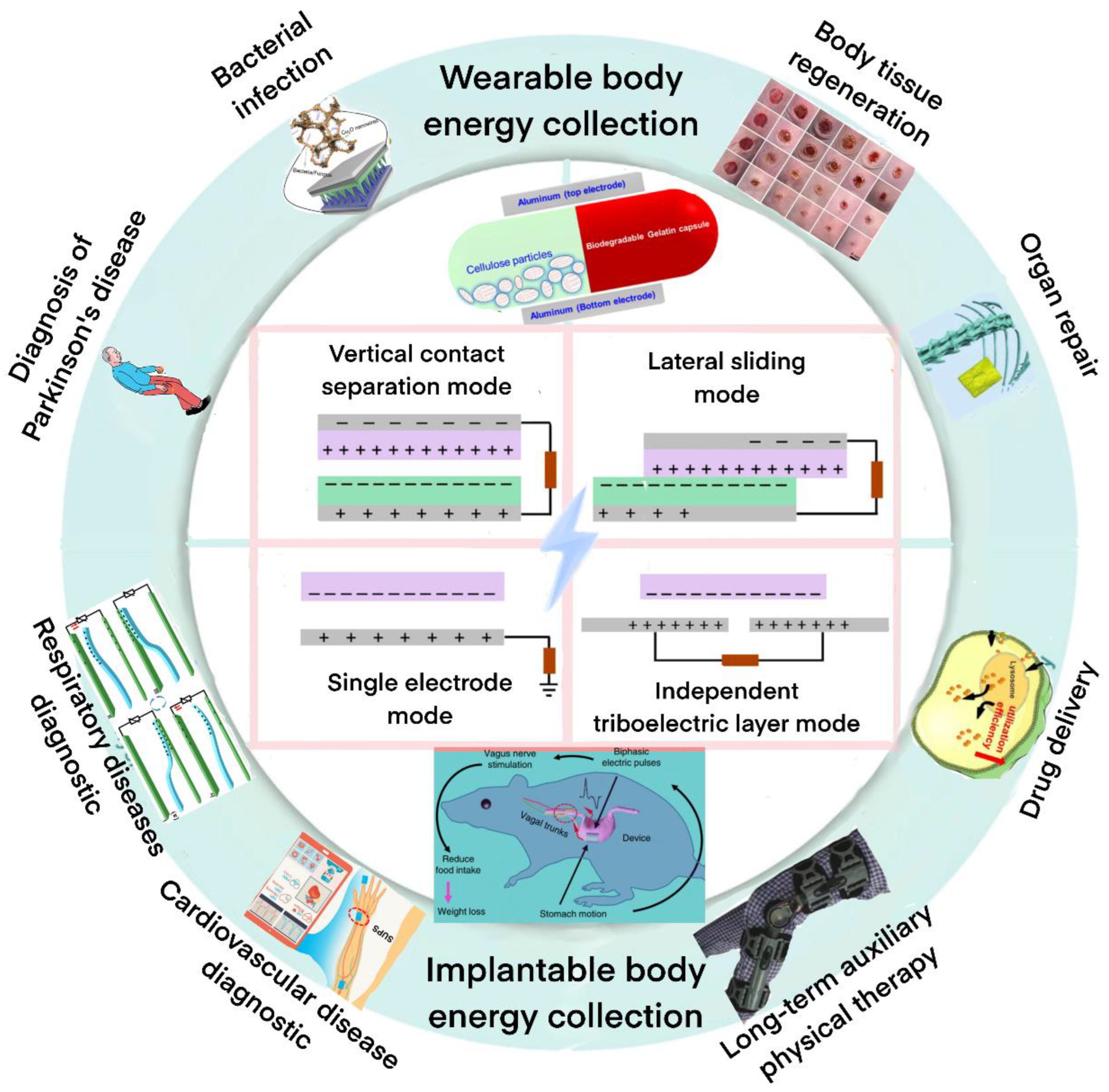 https://www.mdpi.com/biosensors/biosensors-12-01127/article_deploy/html/images/biosensors-12-01127-g001.png