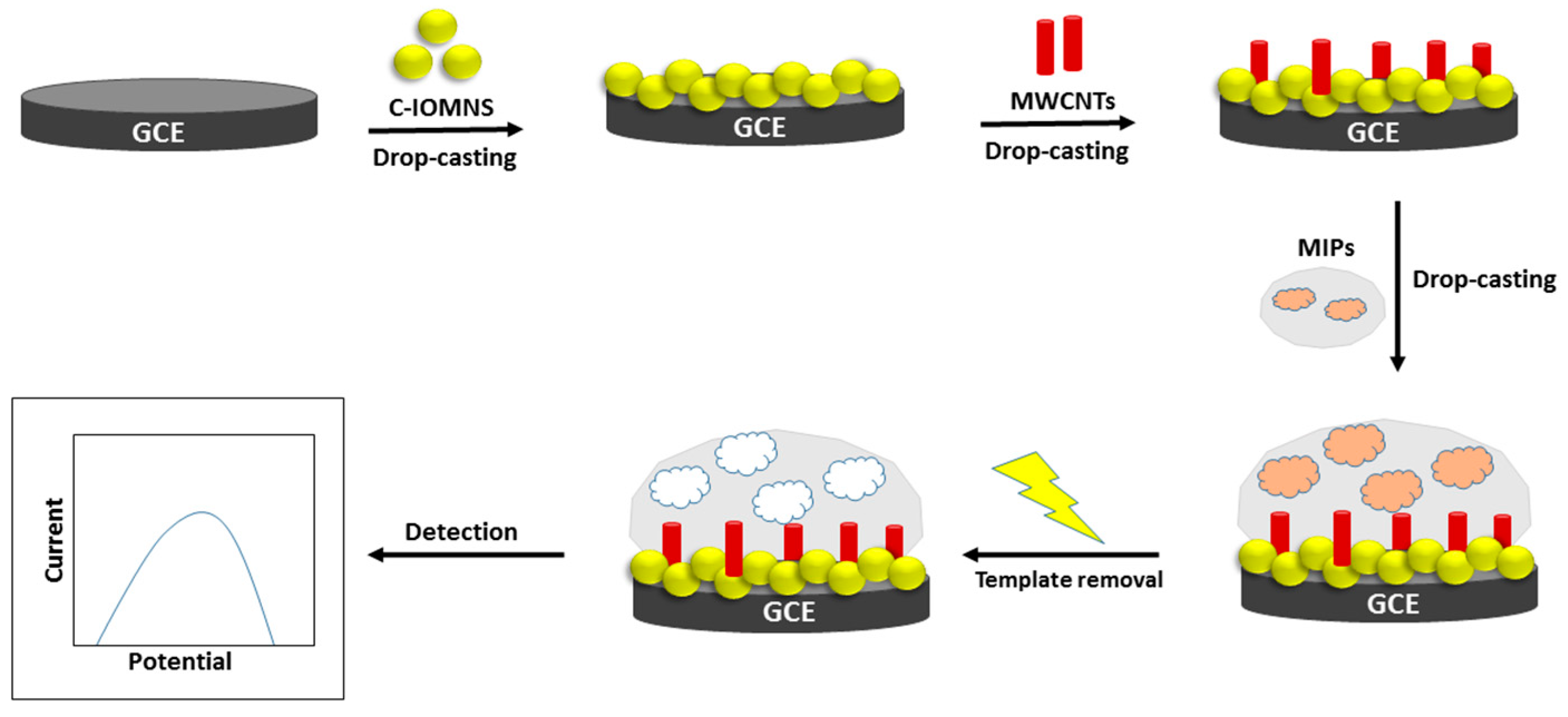 Biosensors 12 01157 g001