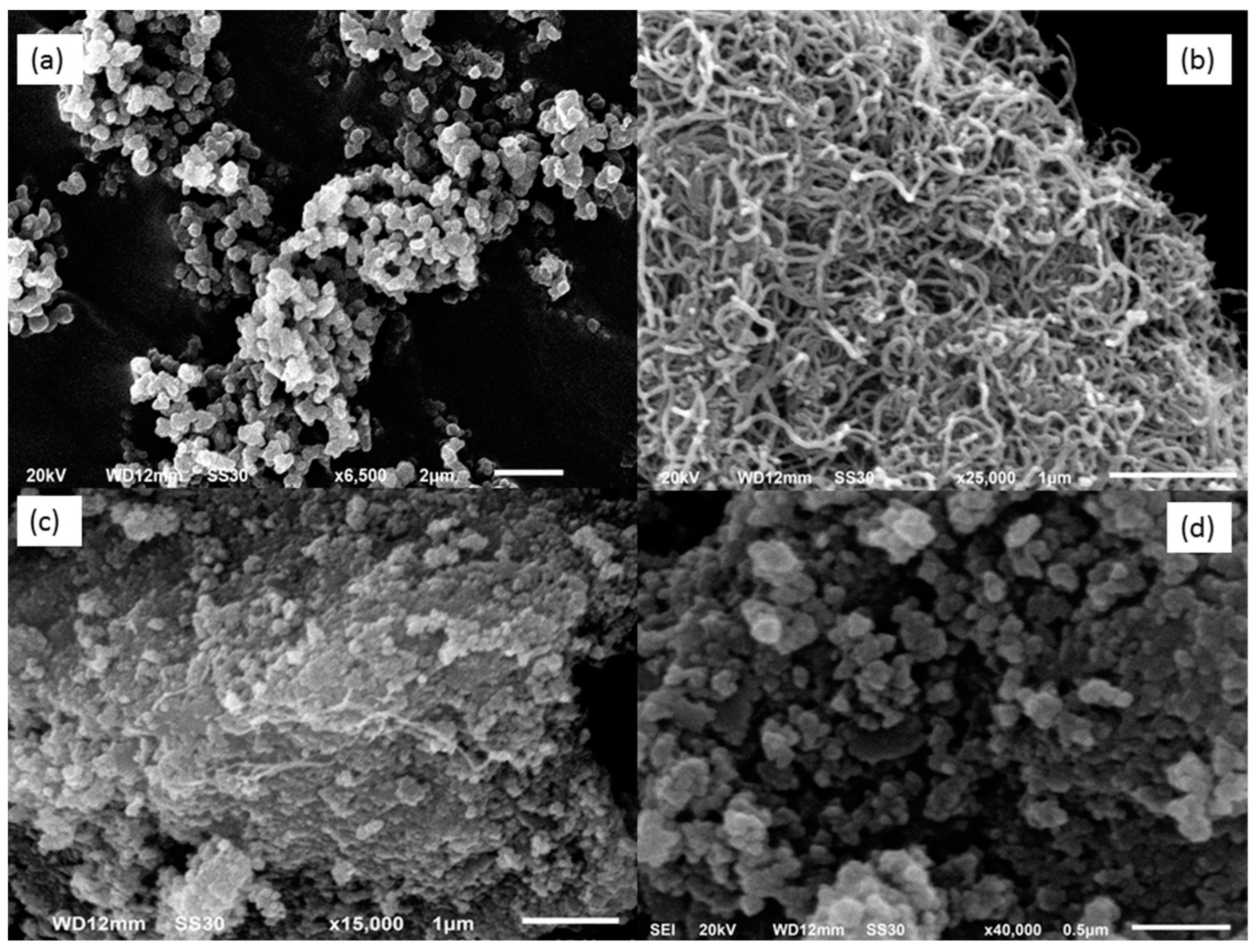 Biosensors 12 01157 g002