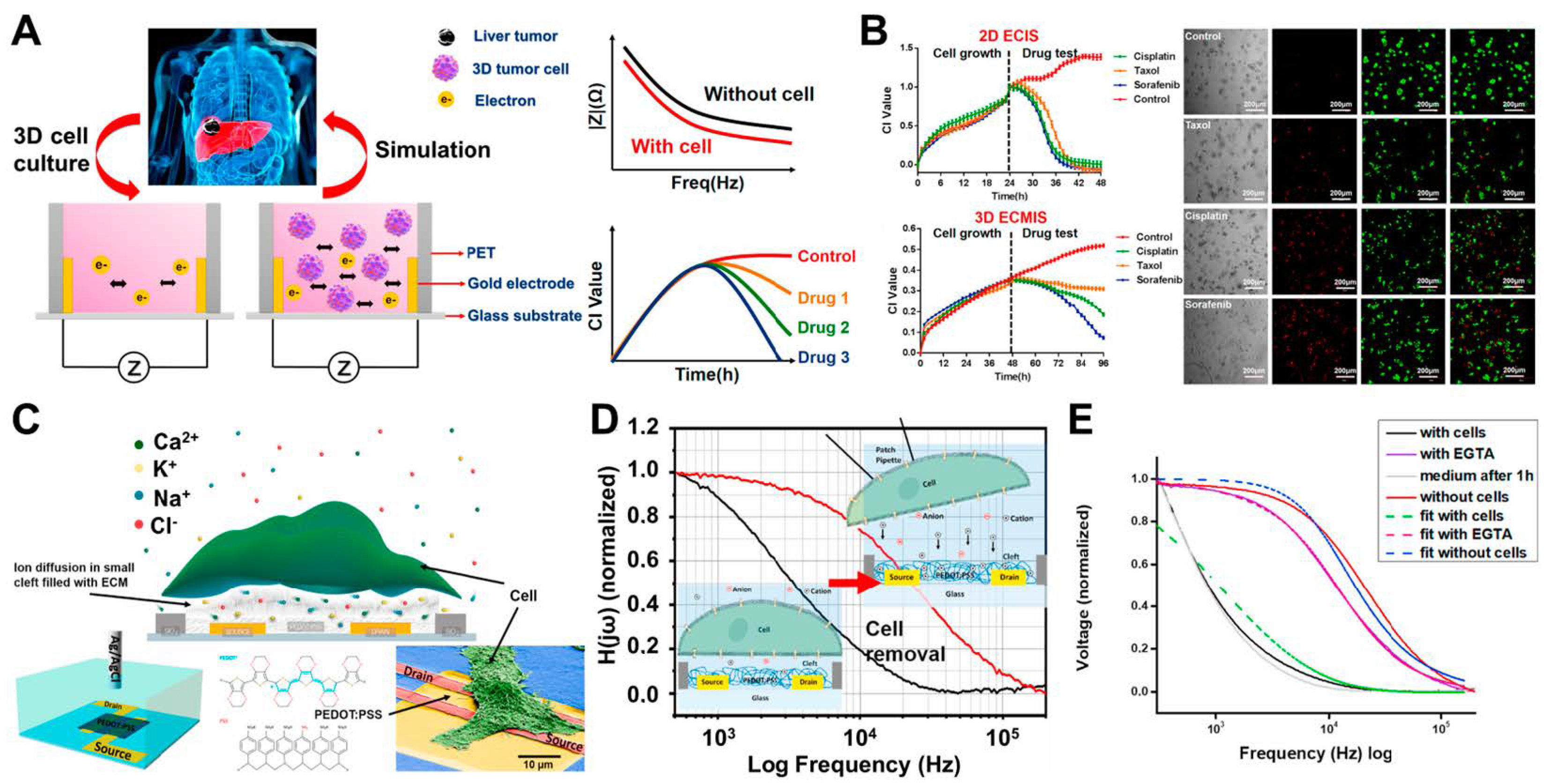 Biosensors 12 01162 g002 Biosensors 12 01162 g002