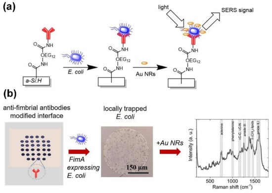 Biosensors | Free Full-Text | Optical Methods For Label-Free Detection ...