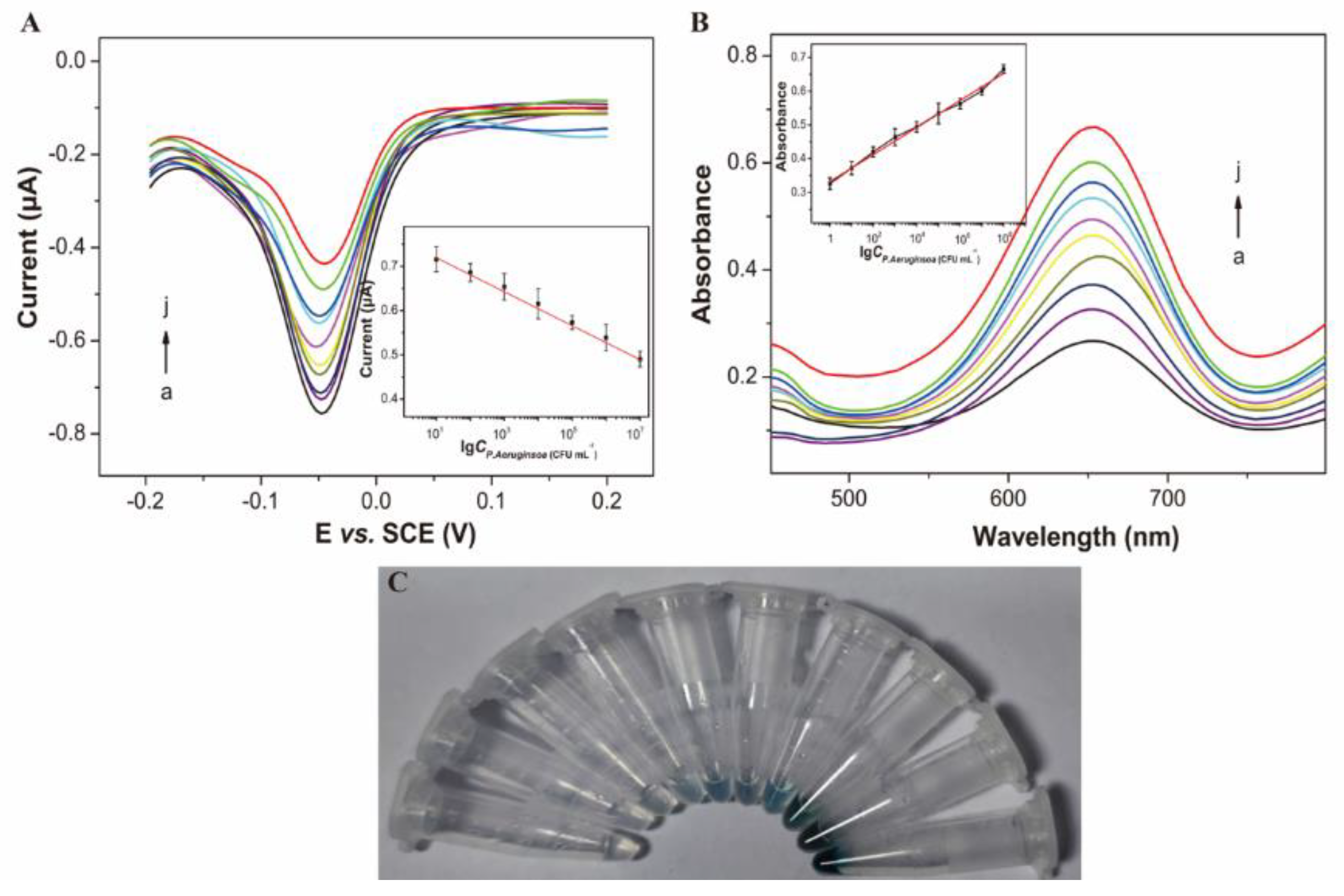 Biosensors 13 00024 g003 Biosensors 13 00024 g003