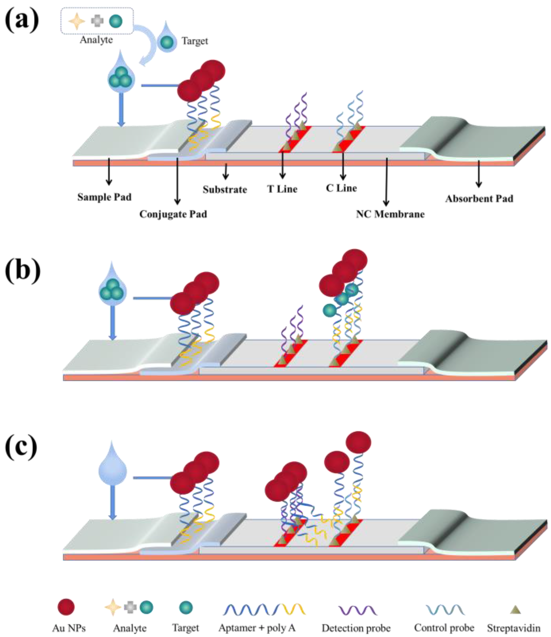 Biosensors 13 00039 g003 Biosensors 13 00039 g003