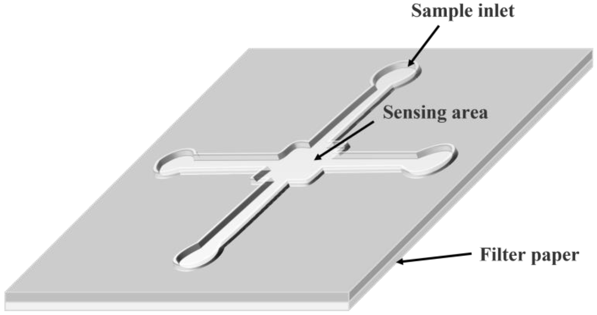 Biosensors 13 00039 g004 Biosensors 13 00039 g004