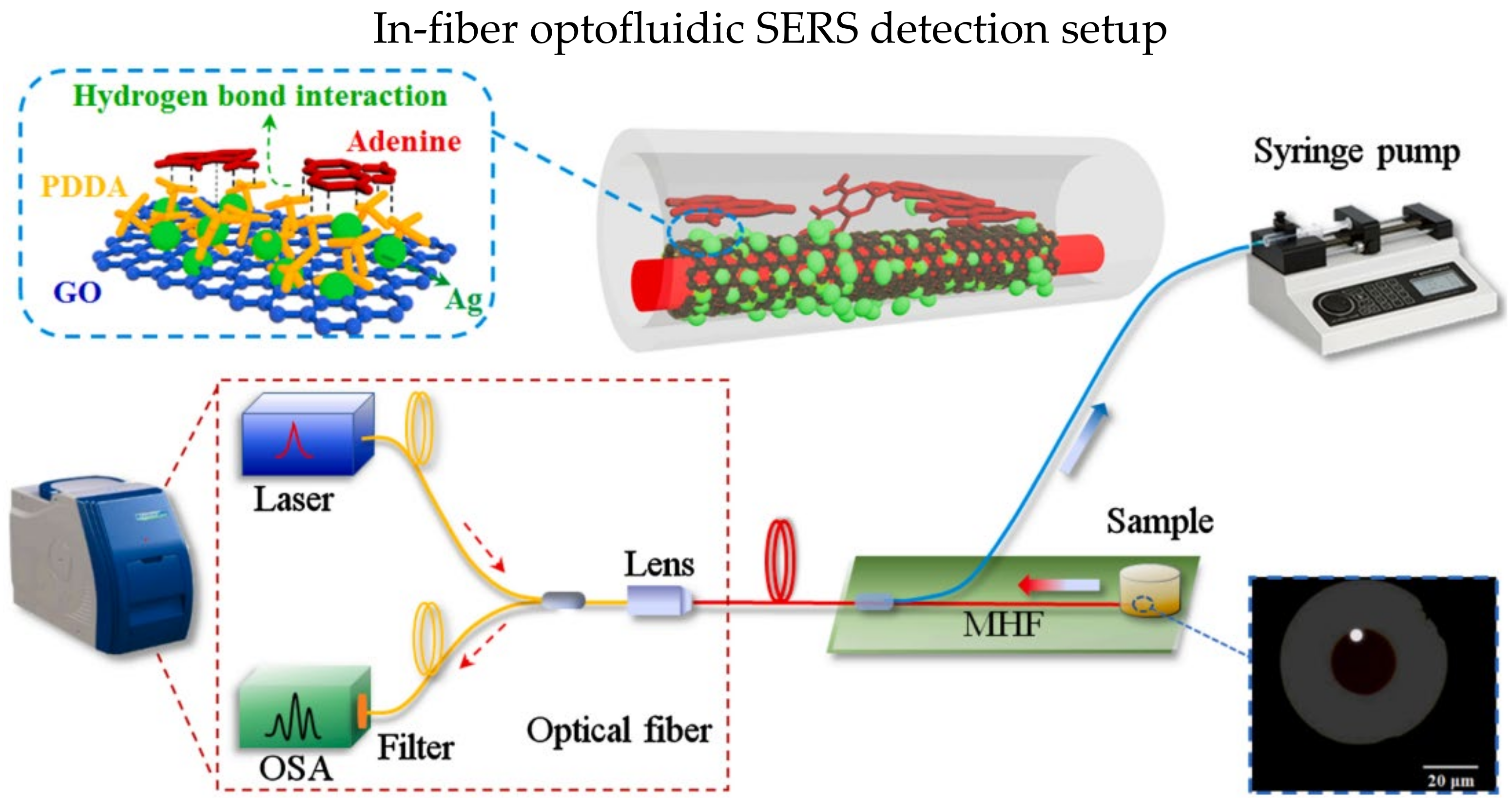 Biosensors | Free Full-Text | Applications of Optical Fiber in Label ...