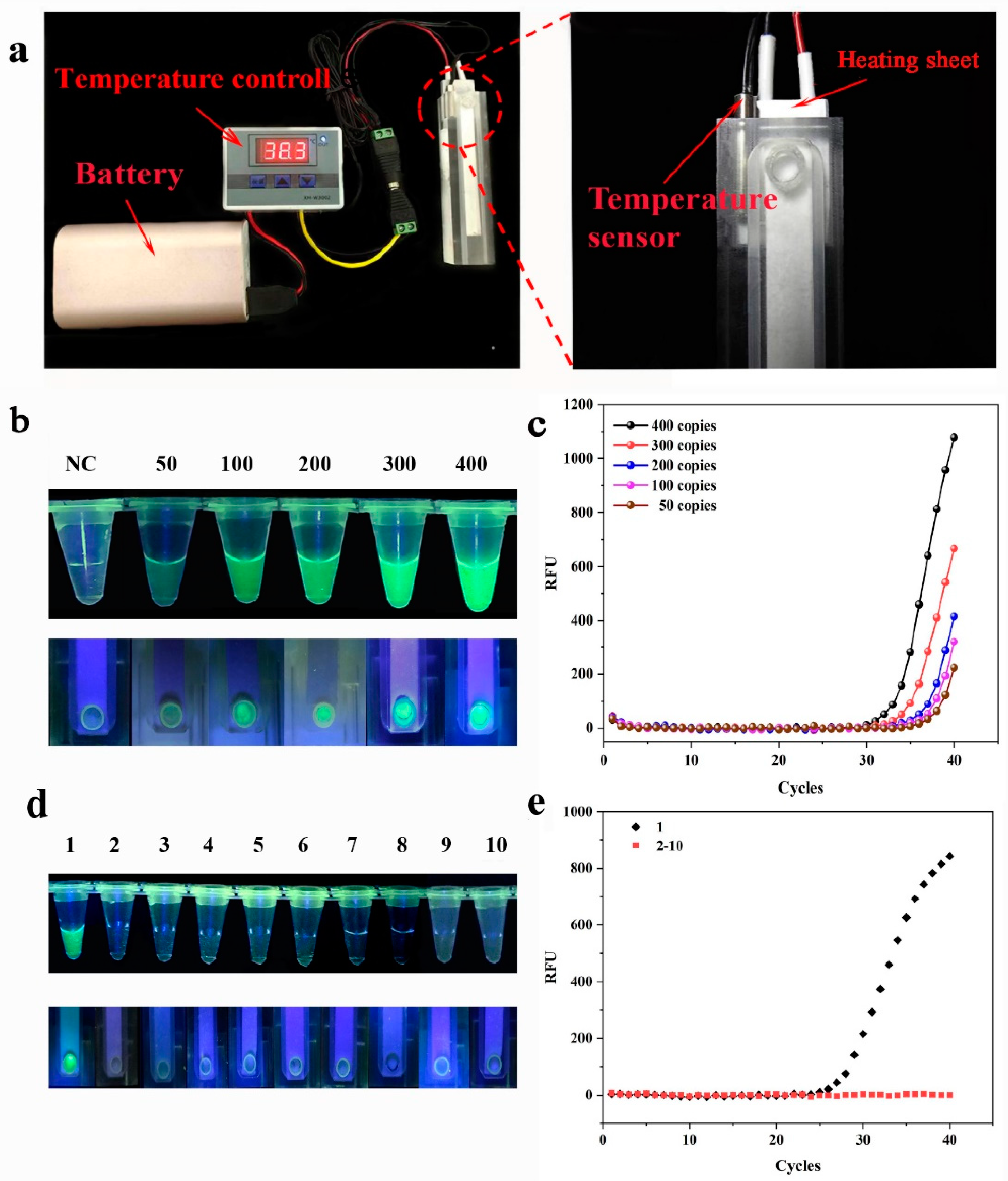 Biosensors 13 00082 g005