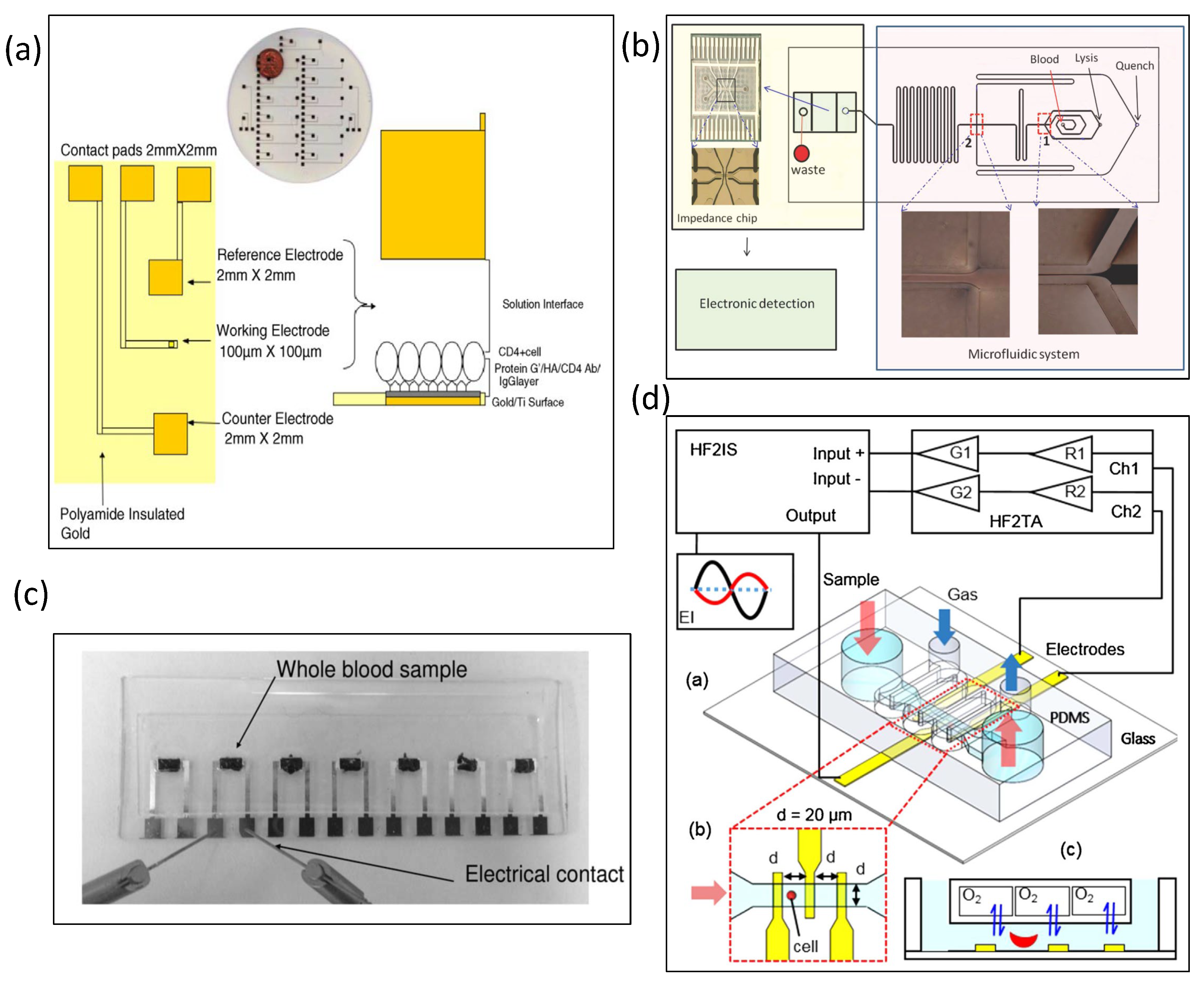 Biosensors 13 00083 g005
