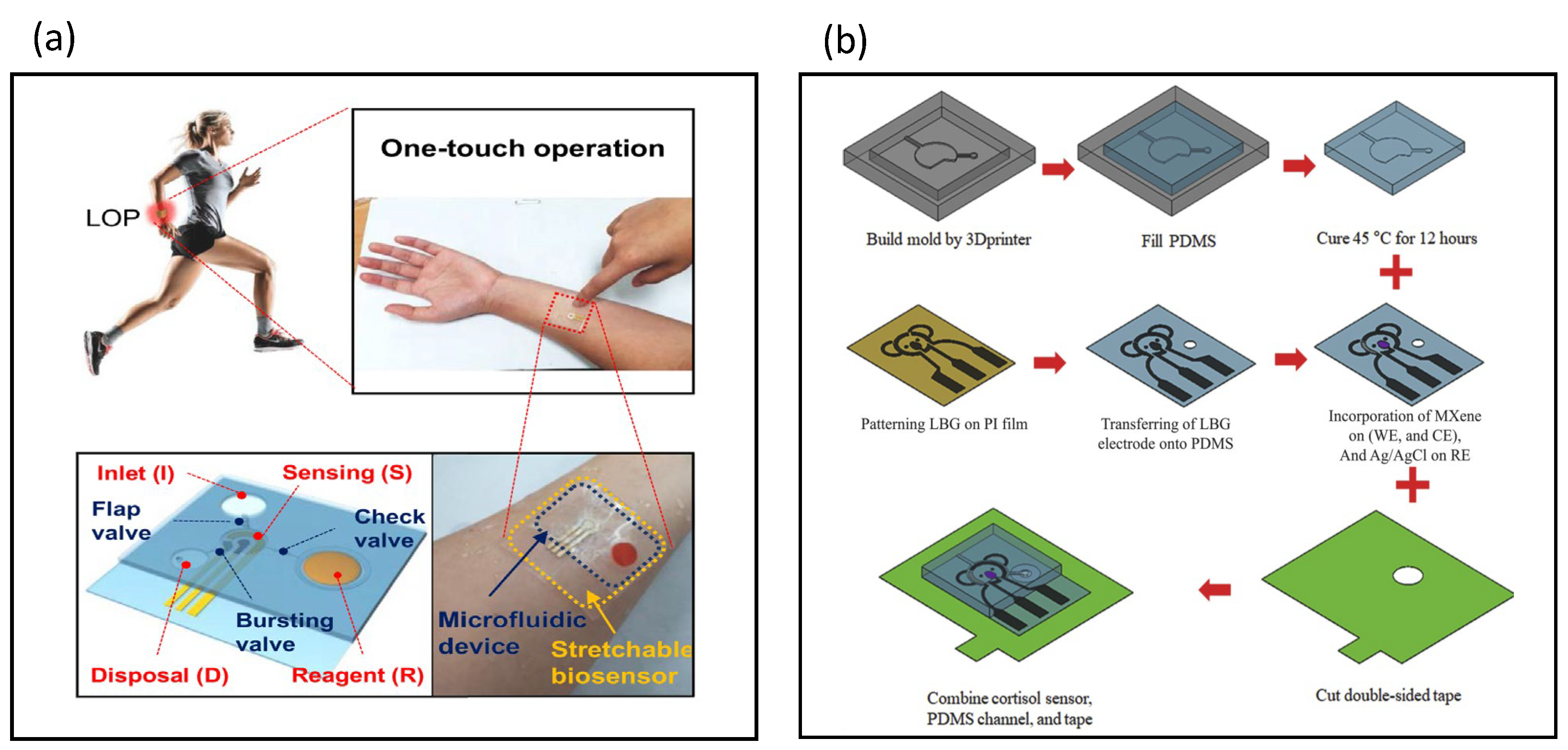 Biosensors 13 00083 g010