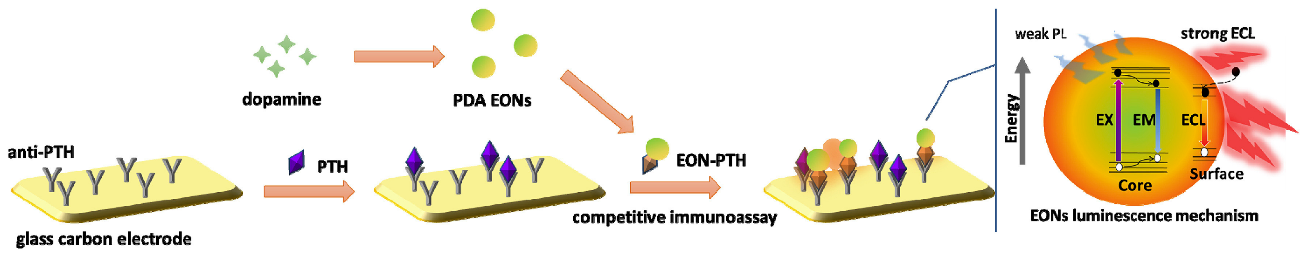 Biosensors 13 00085 g013 Biosensors 13 00085 g013