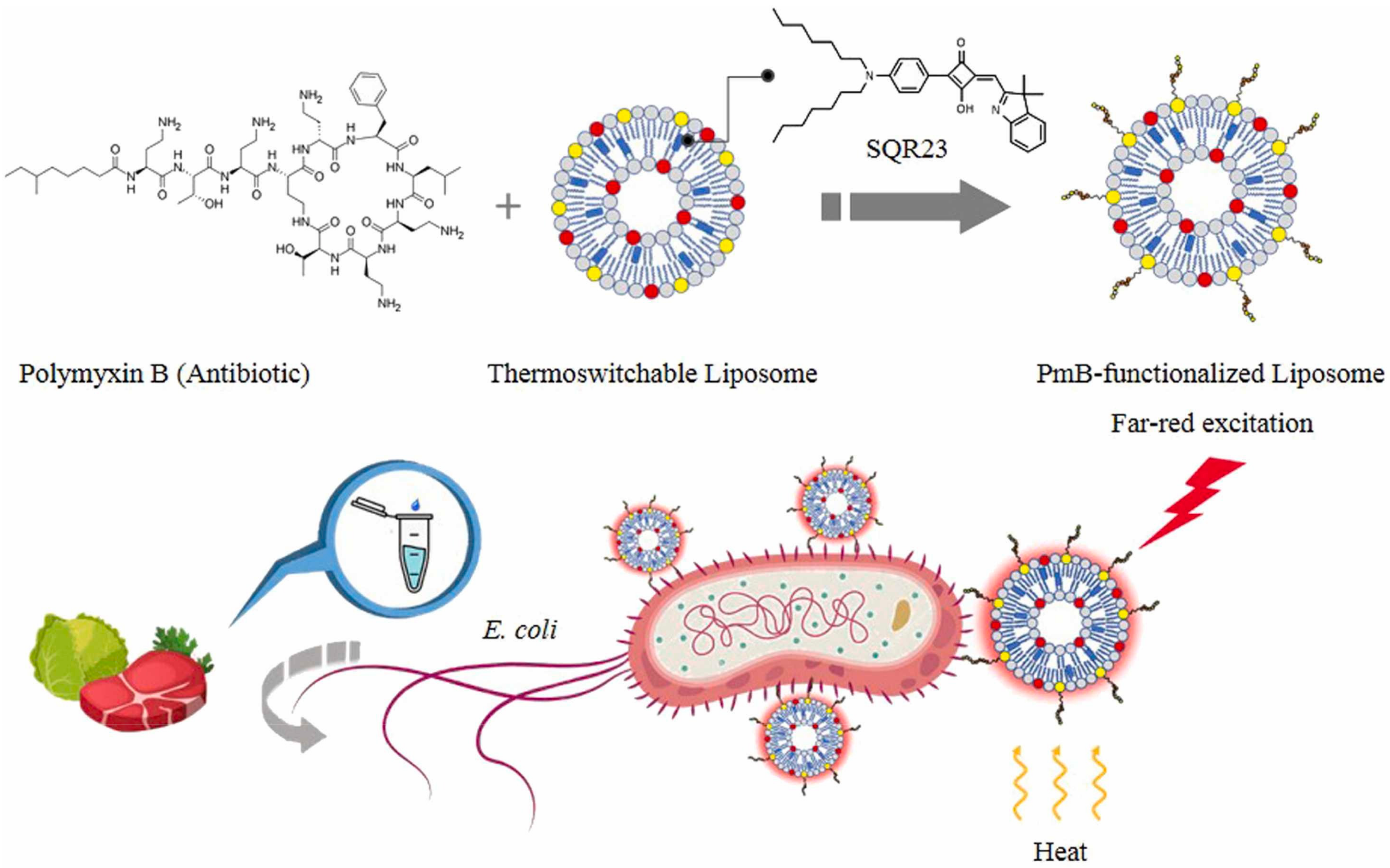 Biosensors 13 00085 g017 Biosensors 13 00085 g017