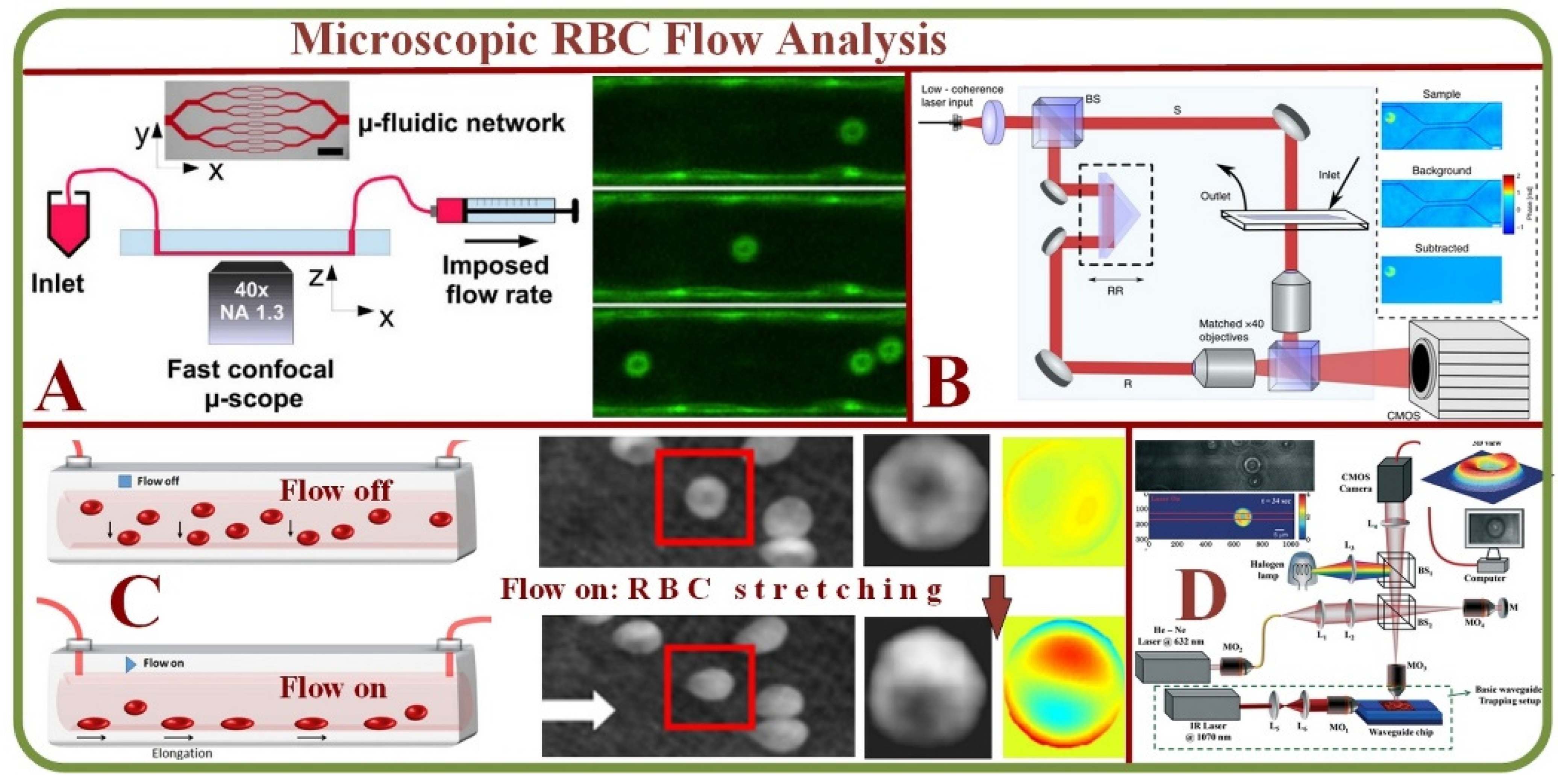 Biosensors 13 00117 g002 Biosensors 13 00117 g002