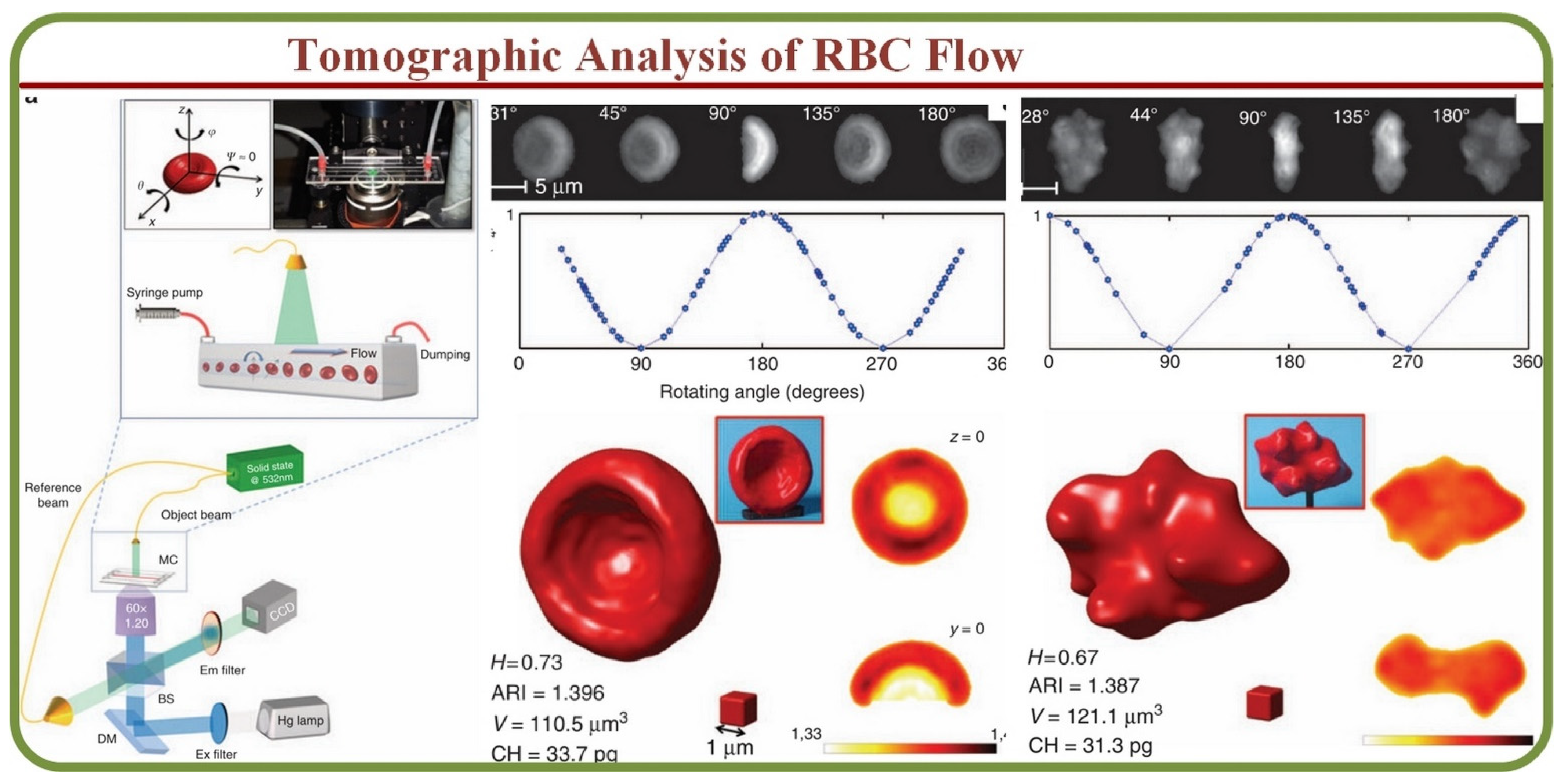 Biosensors 13 00117 g003 Biosensors 13 00117 g003