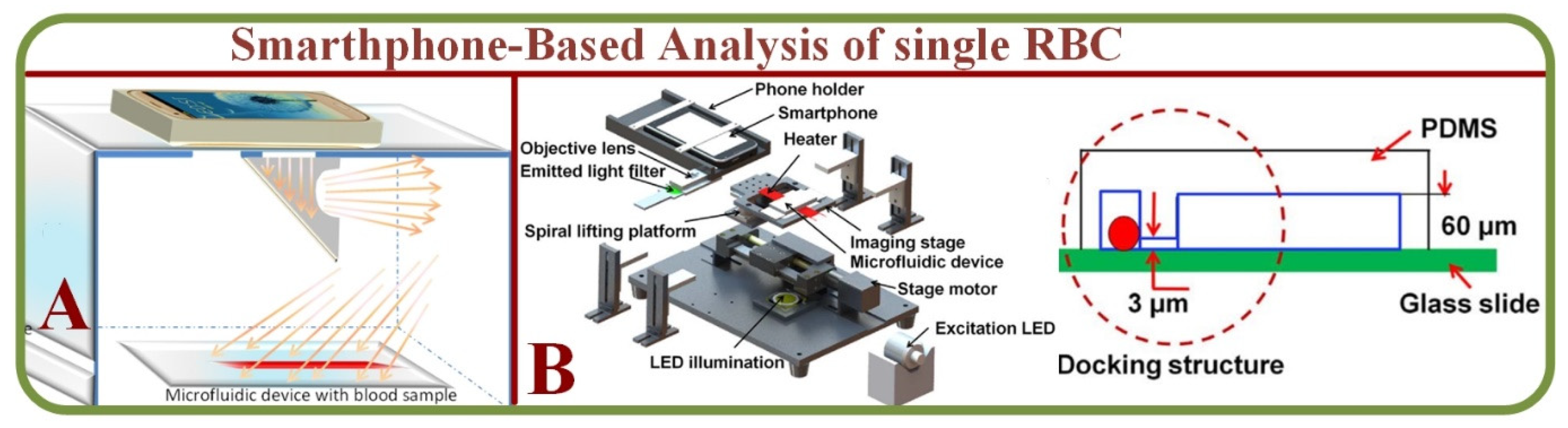 Biosensors 13 00117 g004 Biosensors 13 00117 g004