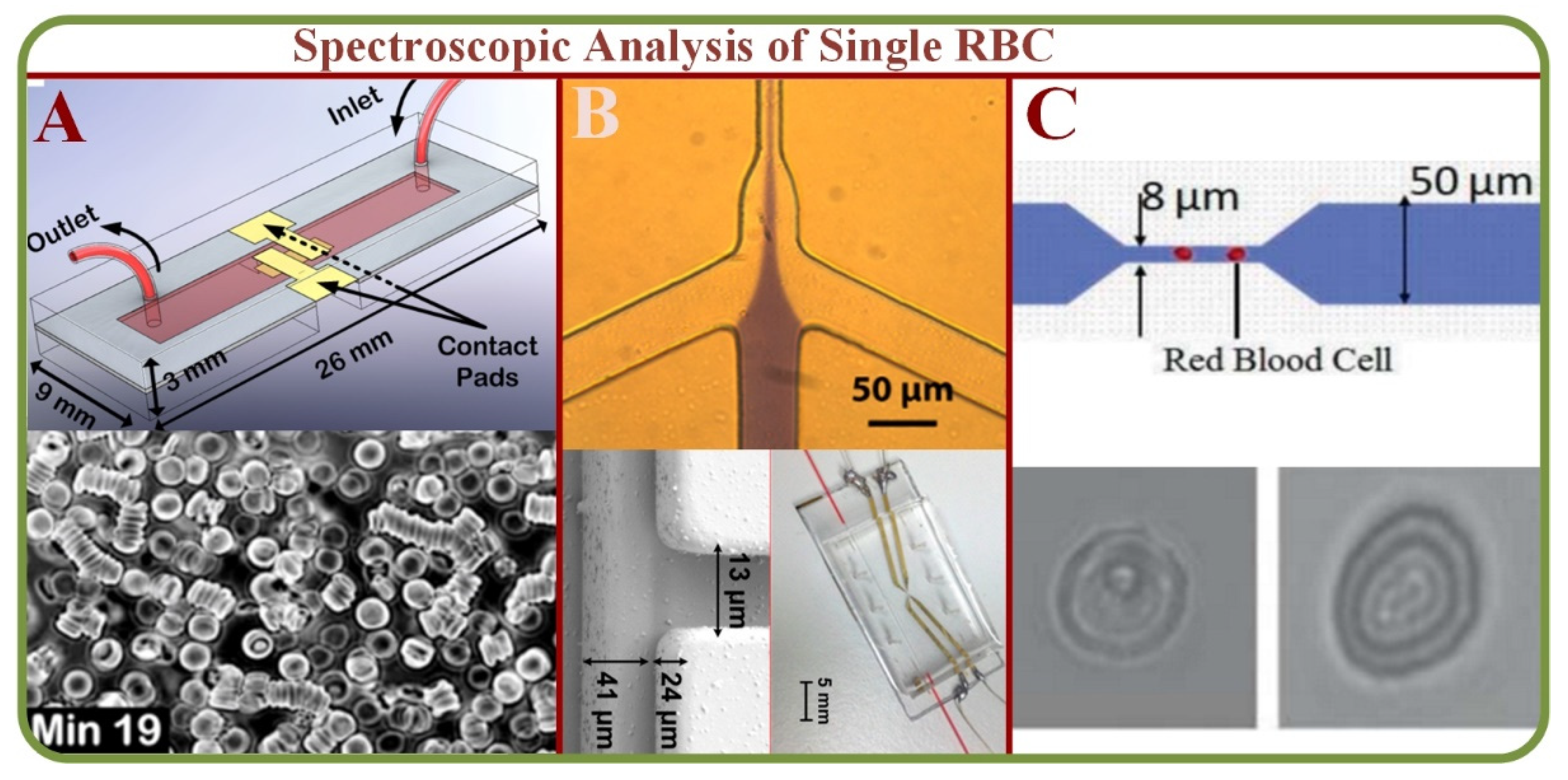 Biosensors 13 00117 g005 Biosensors 13 00117 g005