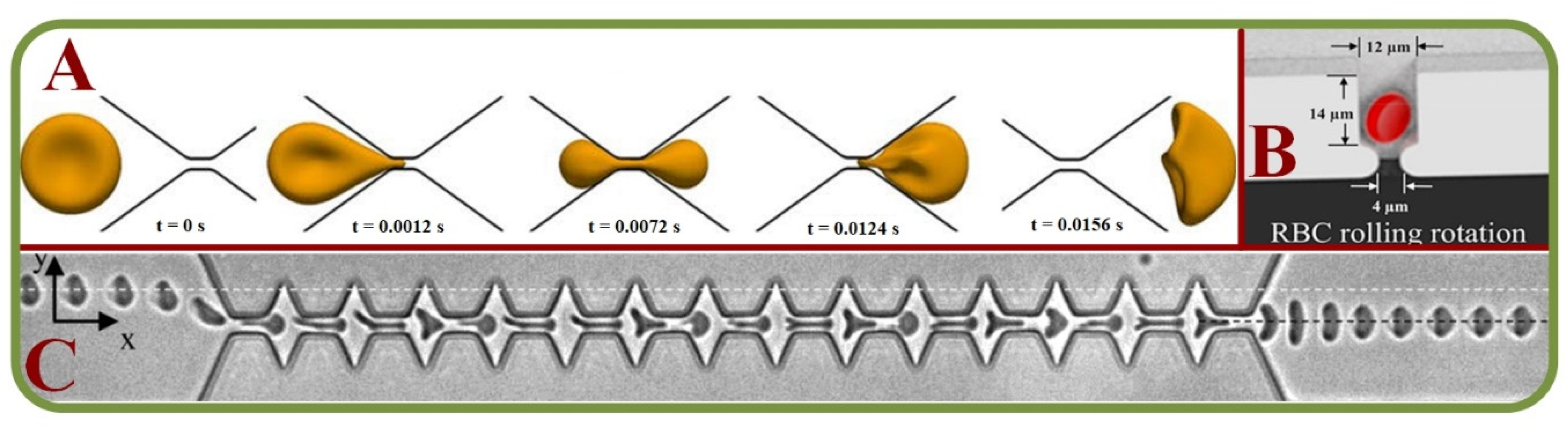 Biosensors 13 00117 g006 Biosensors 13 00117 g006