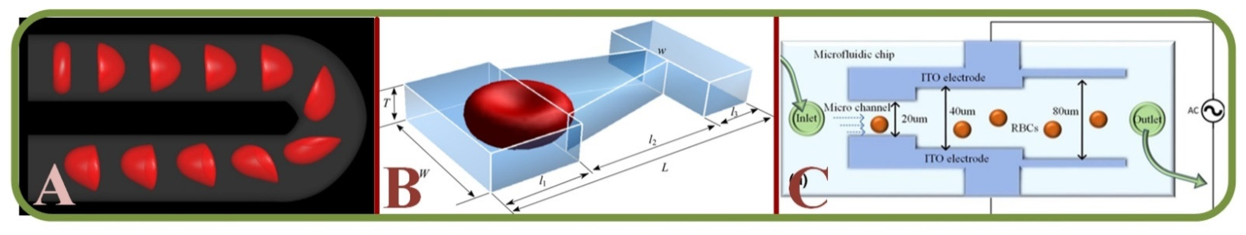 Biosensors 13 00117 g010 Biosensors 13 00117 g010