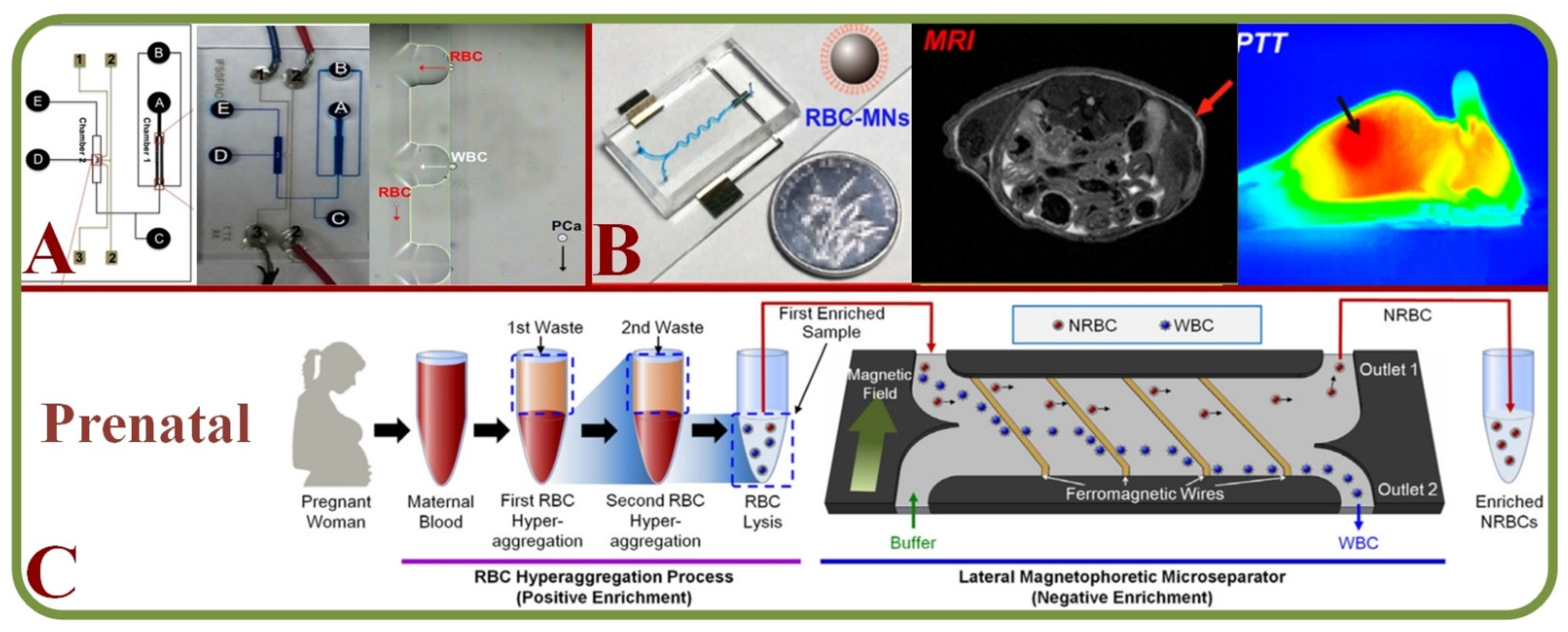 Biosensors 13 00117 g014 Biosensors 13 00117 g014