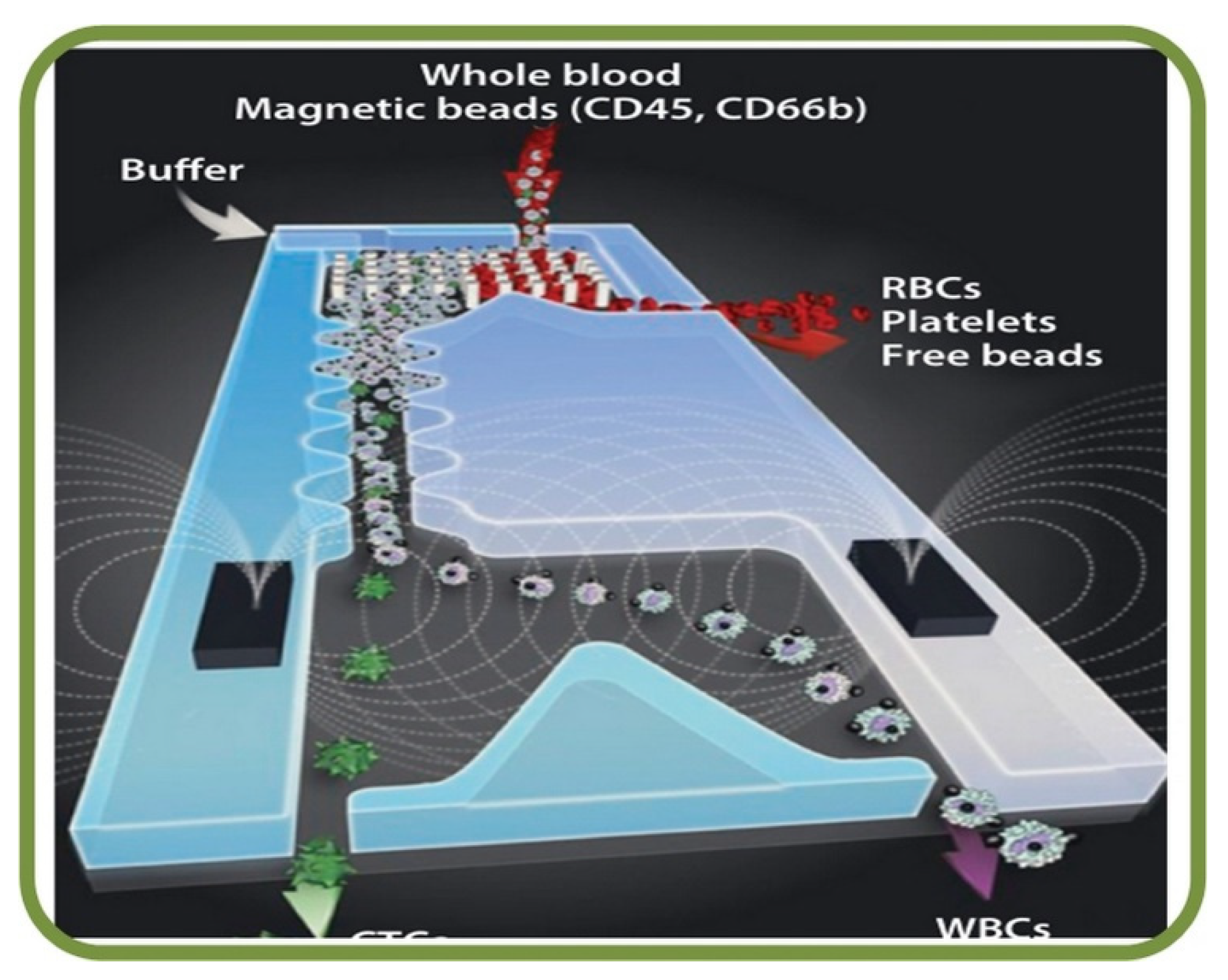 Biosensors 13 00117 g015 Biosensors 13 00117 g015