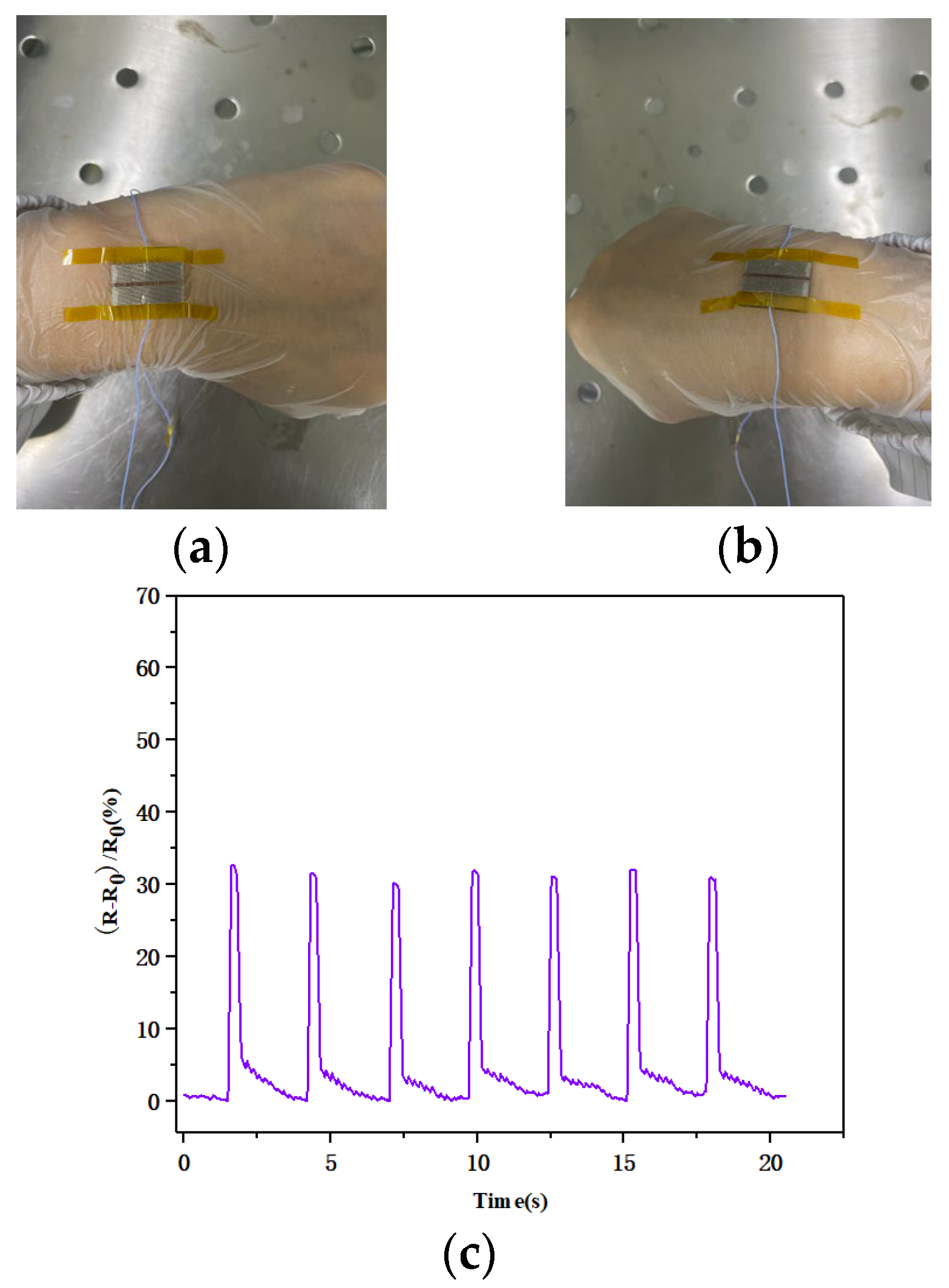 Biosensors 13 00131 g013