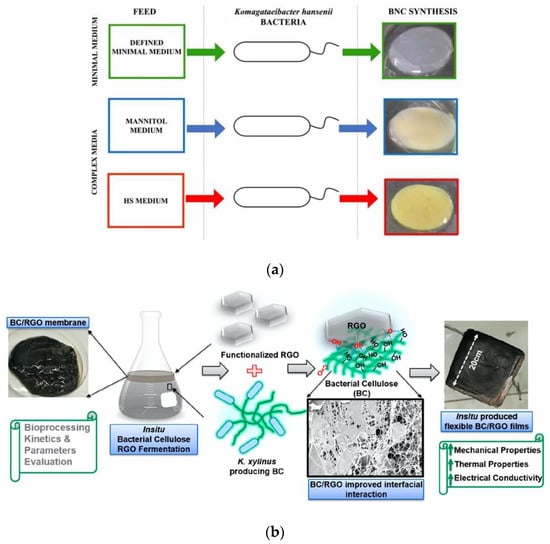 Biosensors | Free Full-Text | Review Of Bacterial Nanocellulose-Based ...