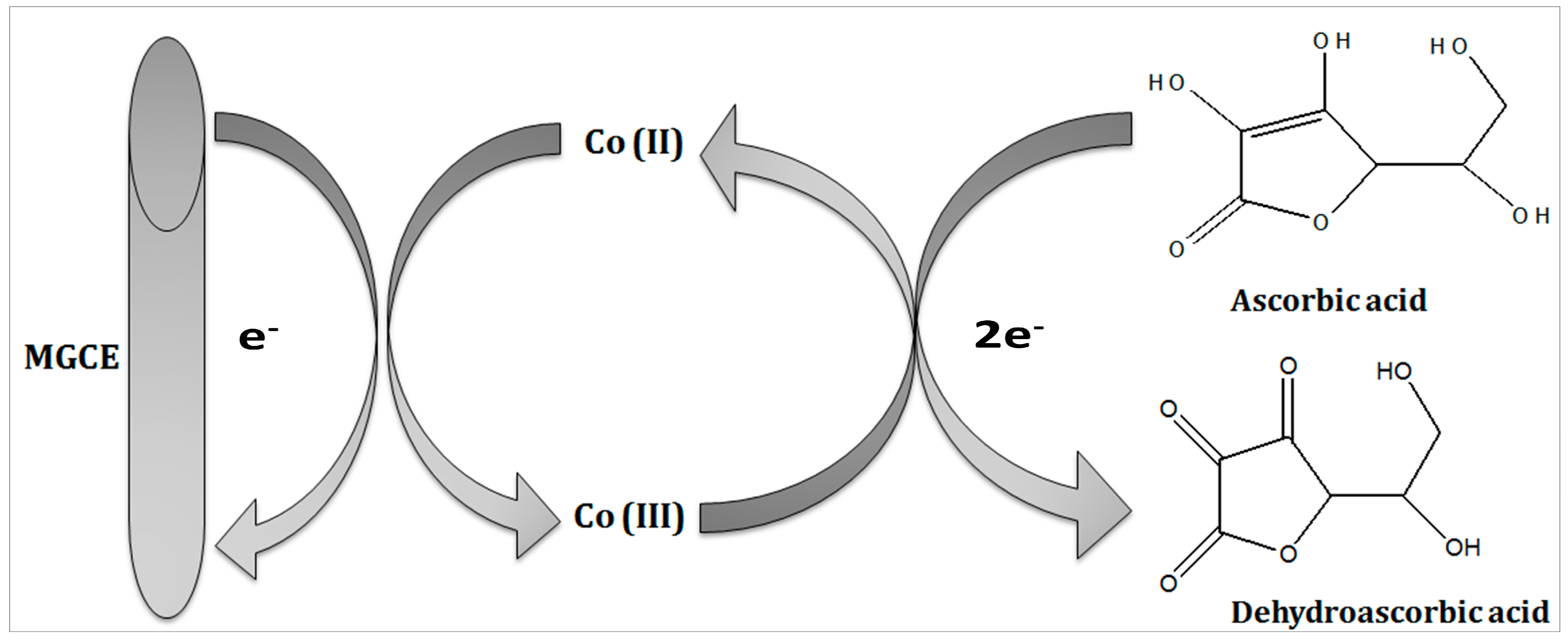 Biosensors 13 00147 g002 Biosensors 13 00147 g002