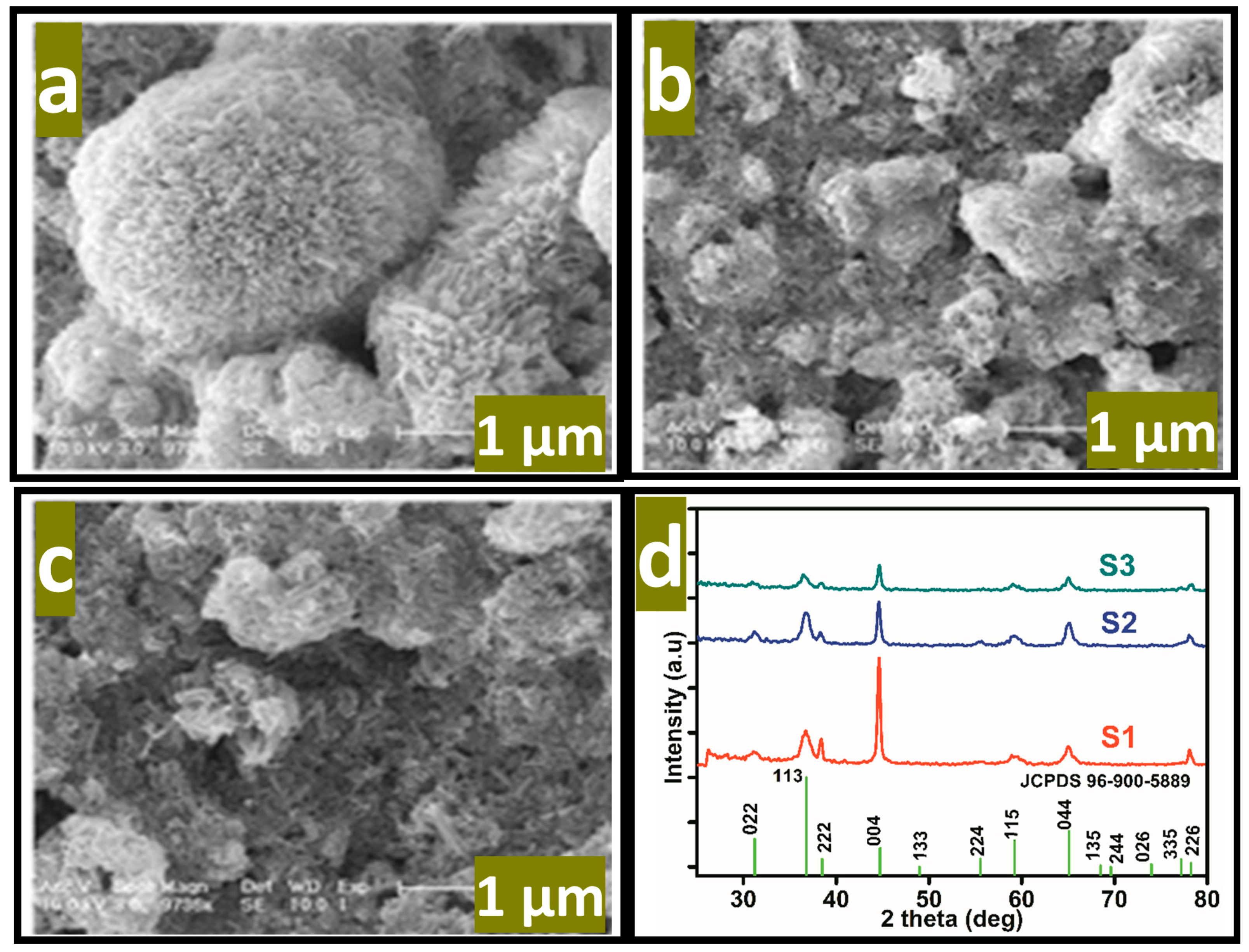 Biosensors 13 00147 g003 Biosensors 13 00147 g003
