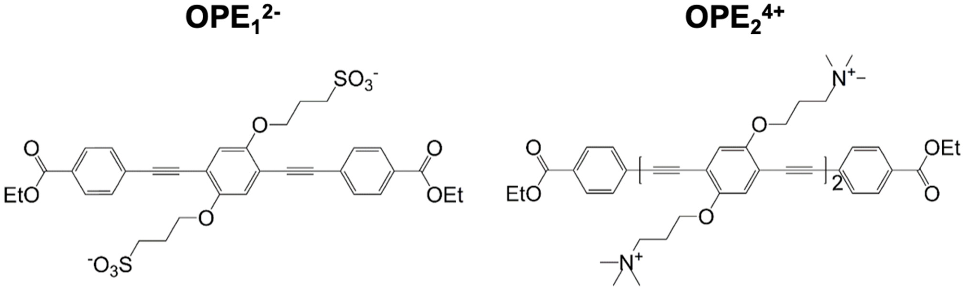 Biosensors 13 00151 g001