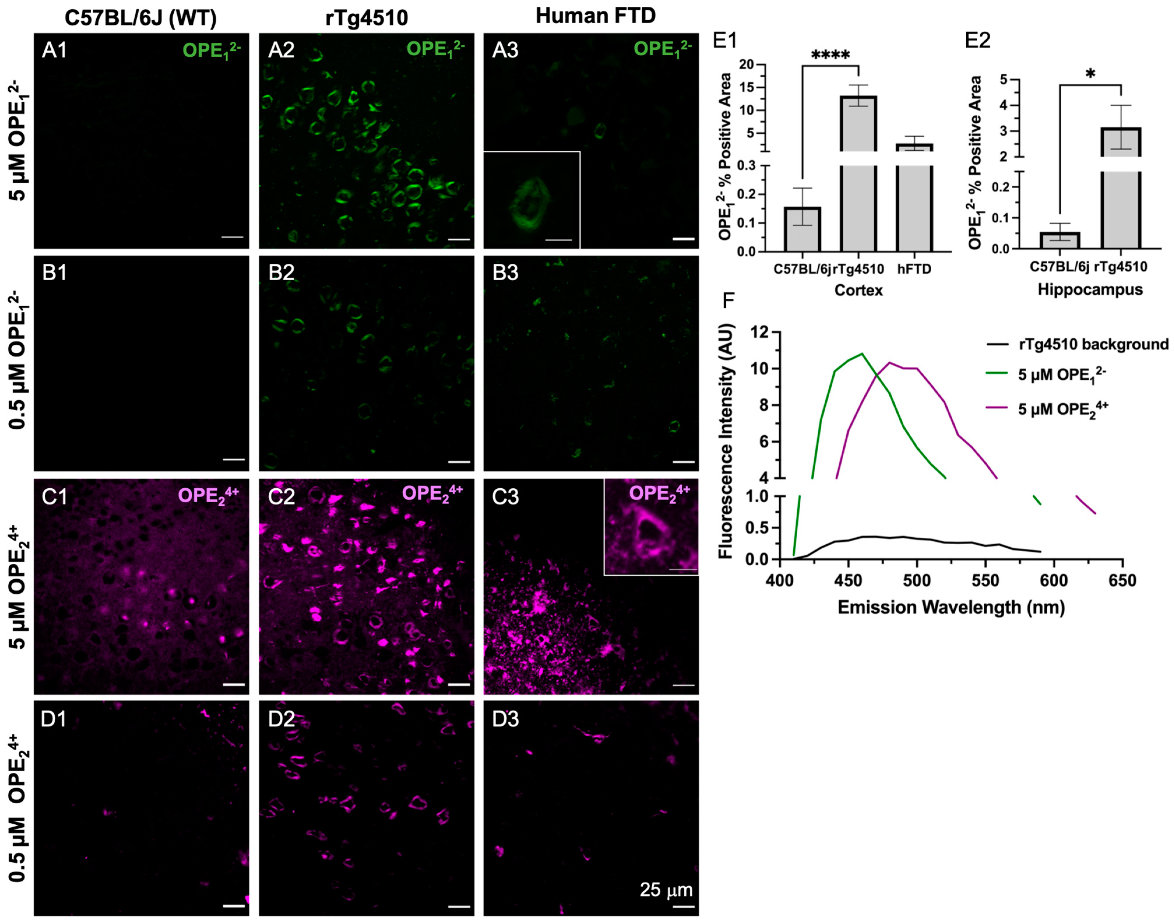 Biosensors 13 00151 g004