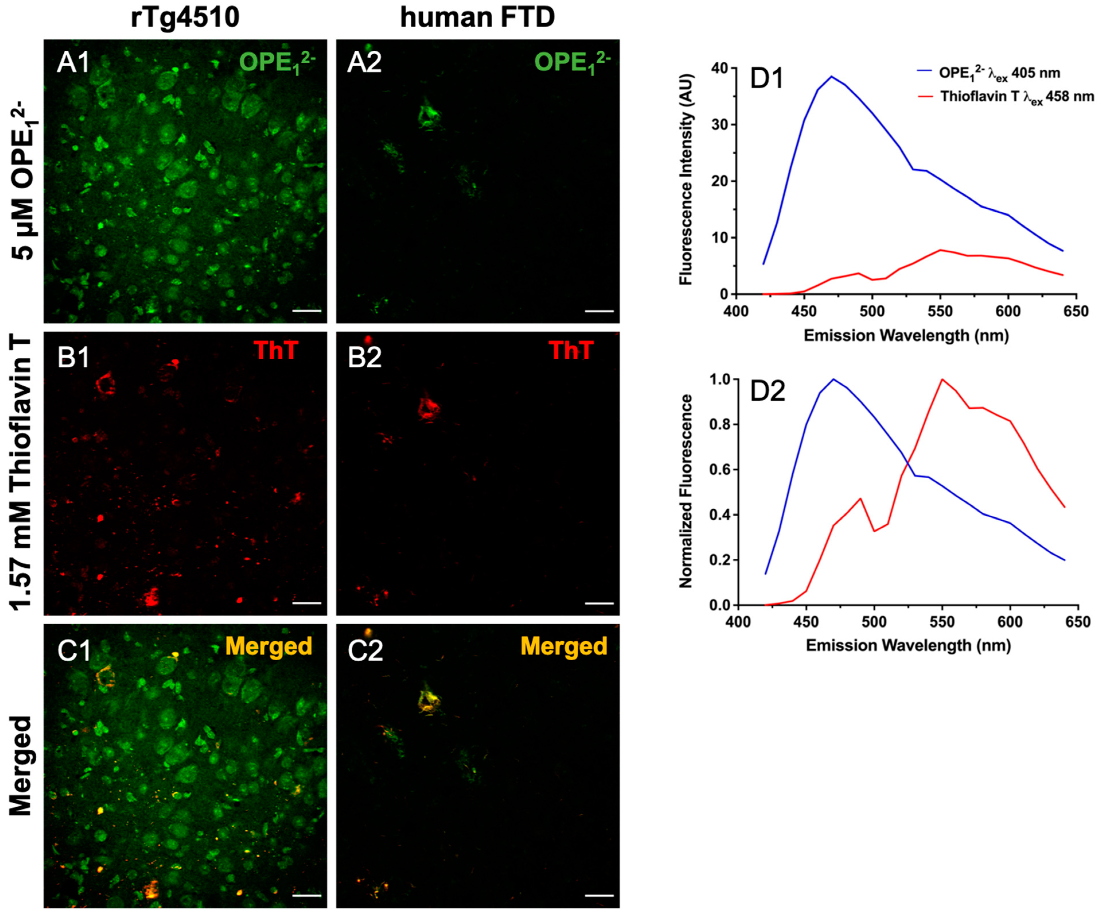 Biosensors 13 00151 g005