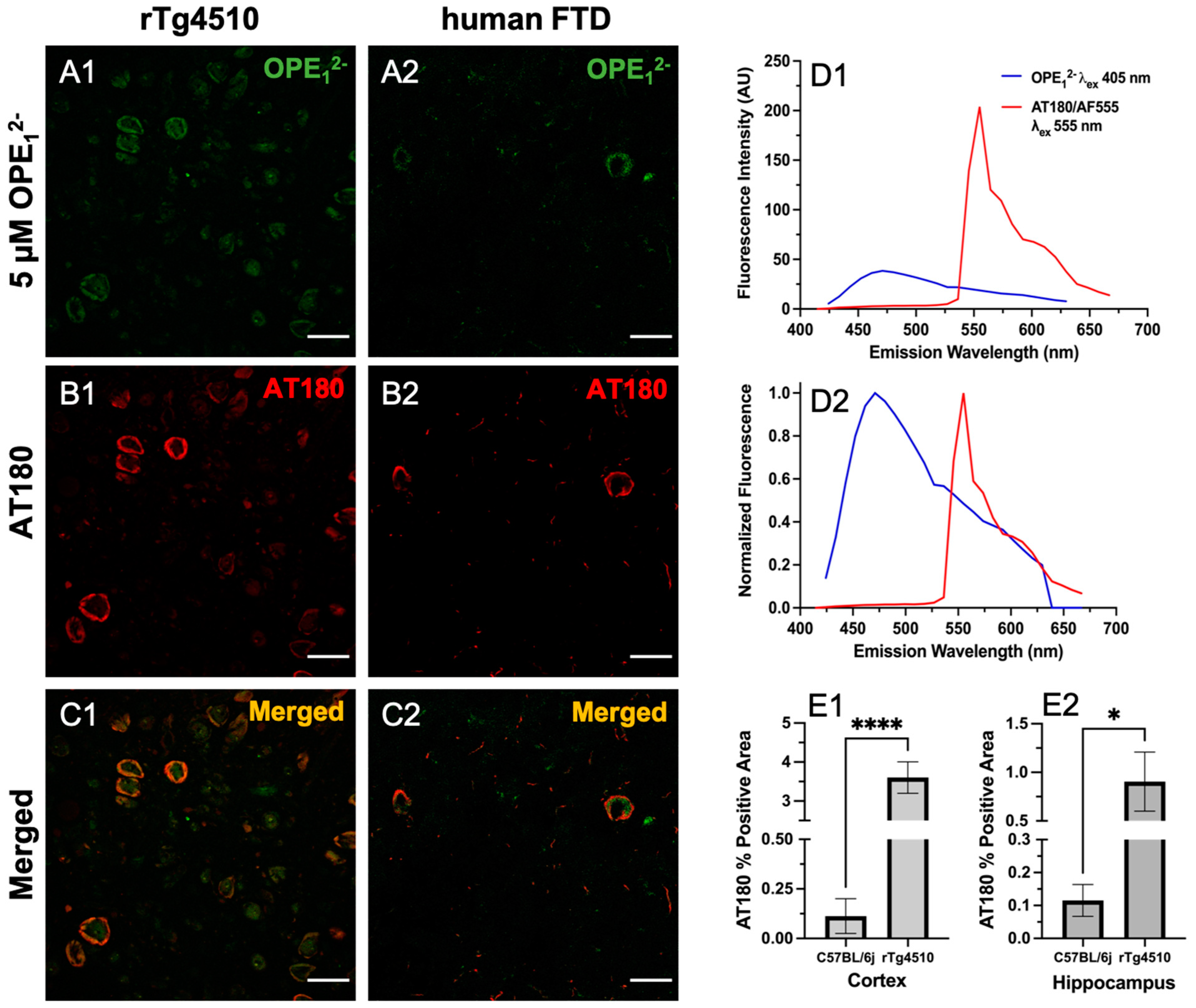 Biosensors 13 00151 g006