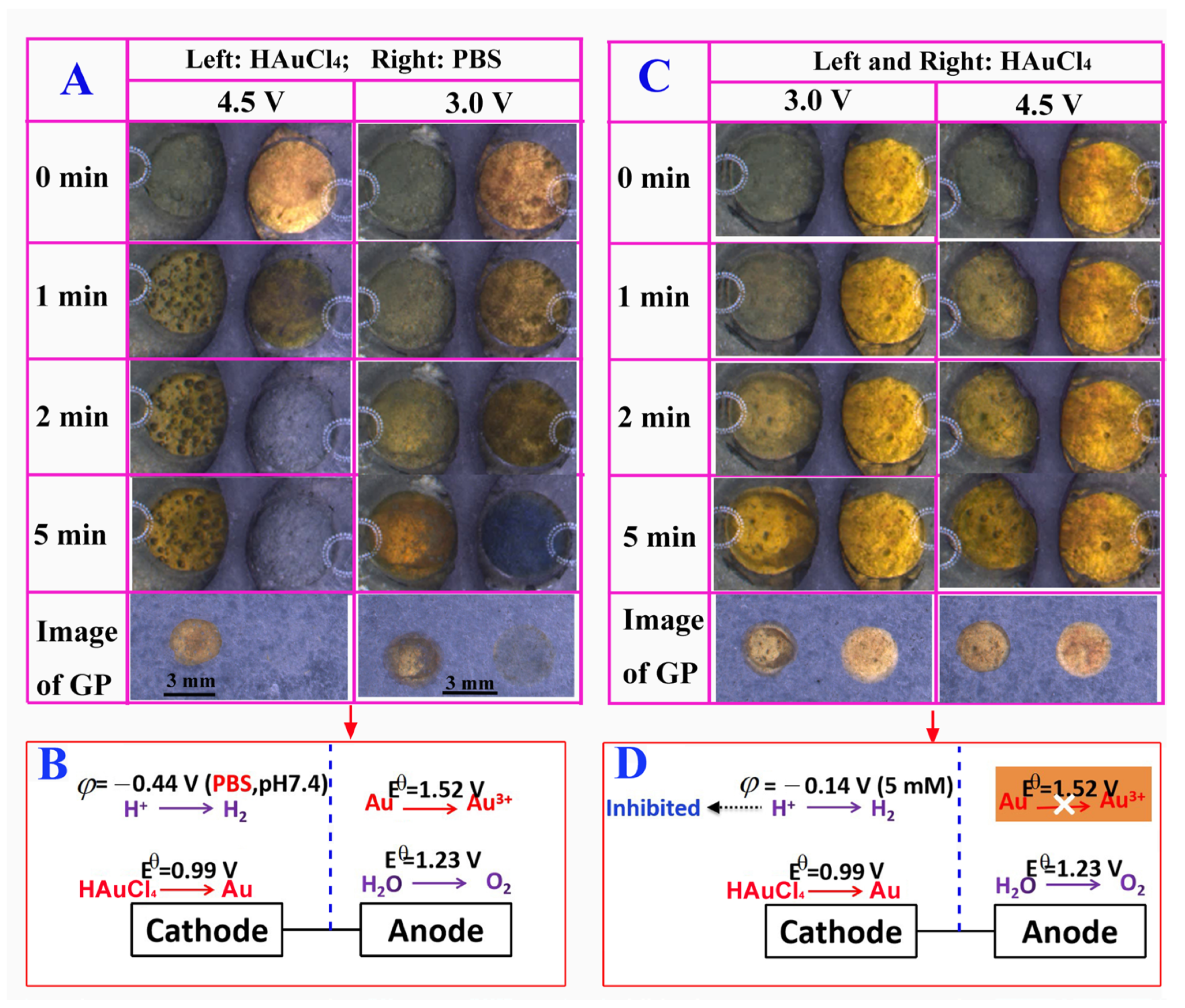 Biosensors 13 00158 g002 Biosensors 13 00158 g002