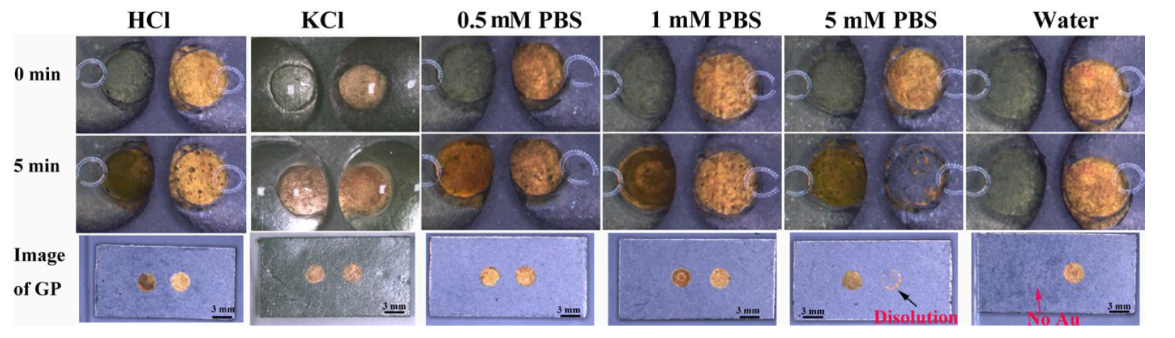 Biosensors 13 00158 g003 Biosensors 13 00158 g003