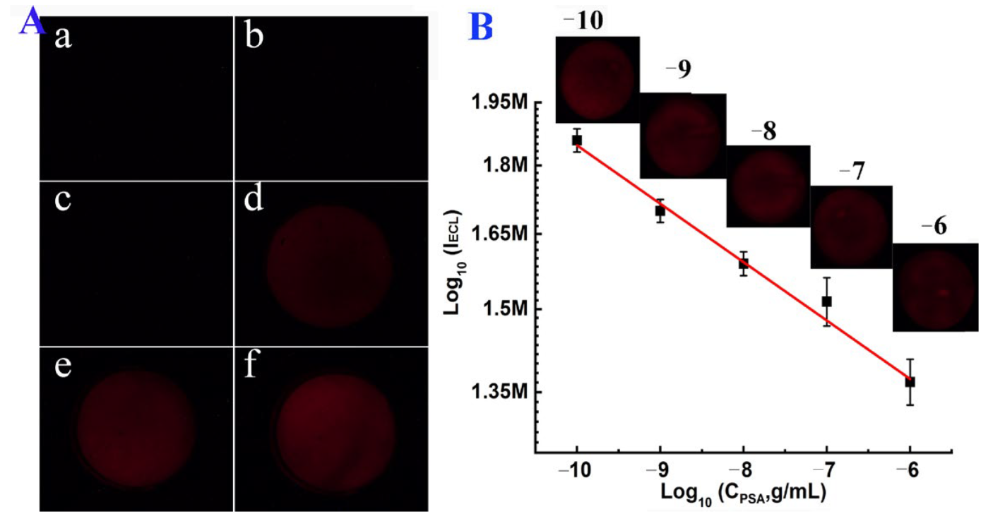 Biosensors 13 00158 g005 Biosensors 13 00158 g005