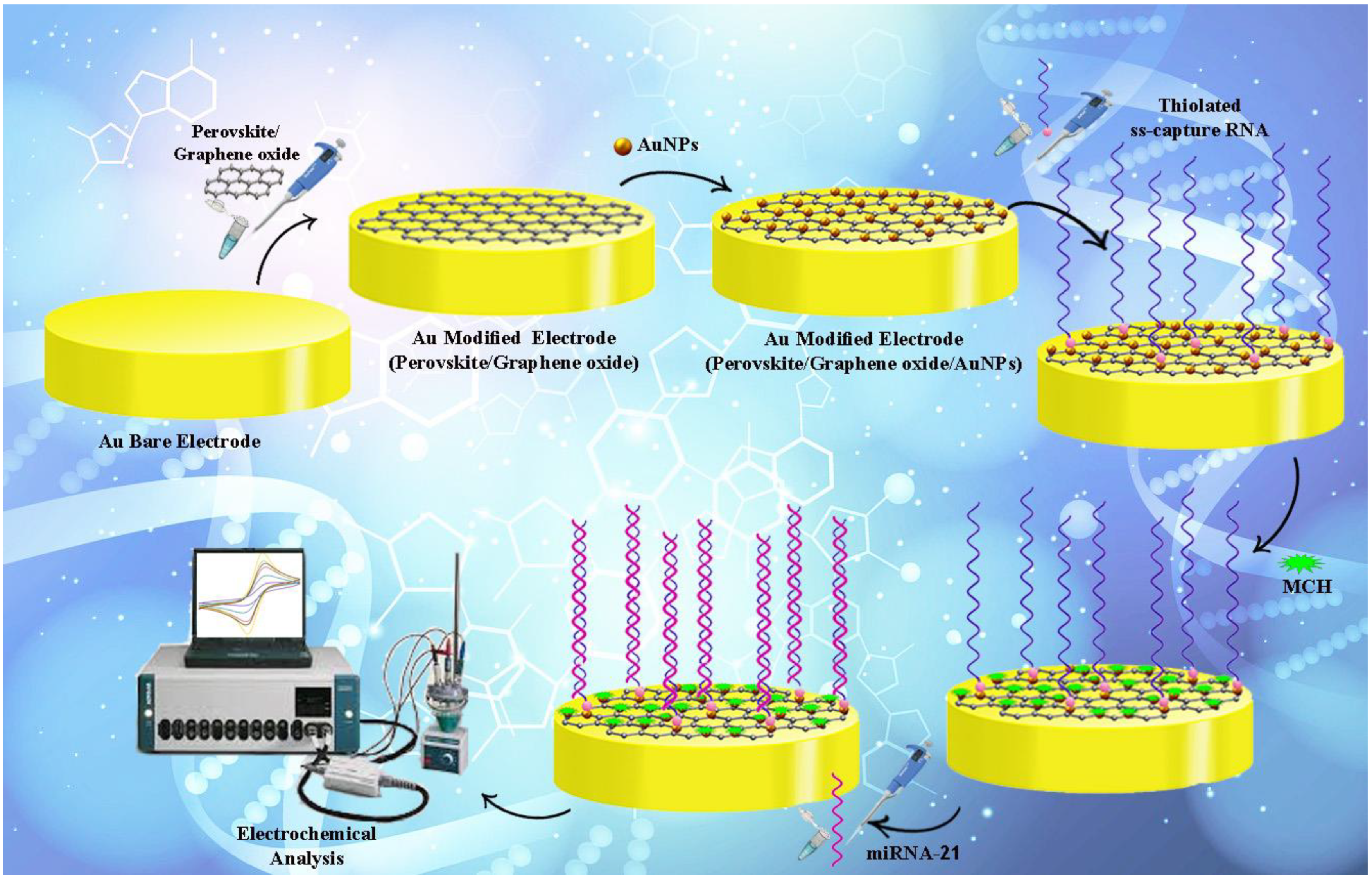 Biosensors | Free Full-Text | An Ultrasensitive miRNA-Based