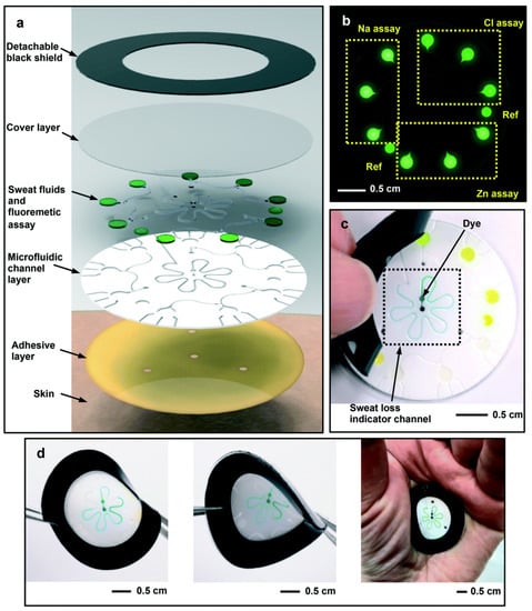 Biosensors Free Full Text Novel Wearable Optical Sensors For Vital Health Monitoring Systems