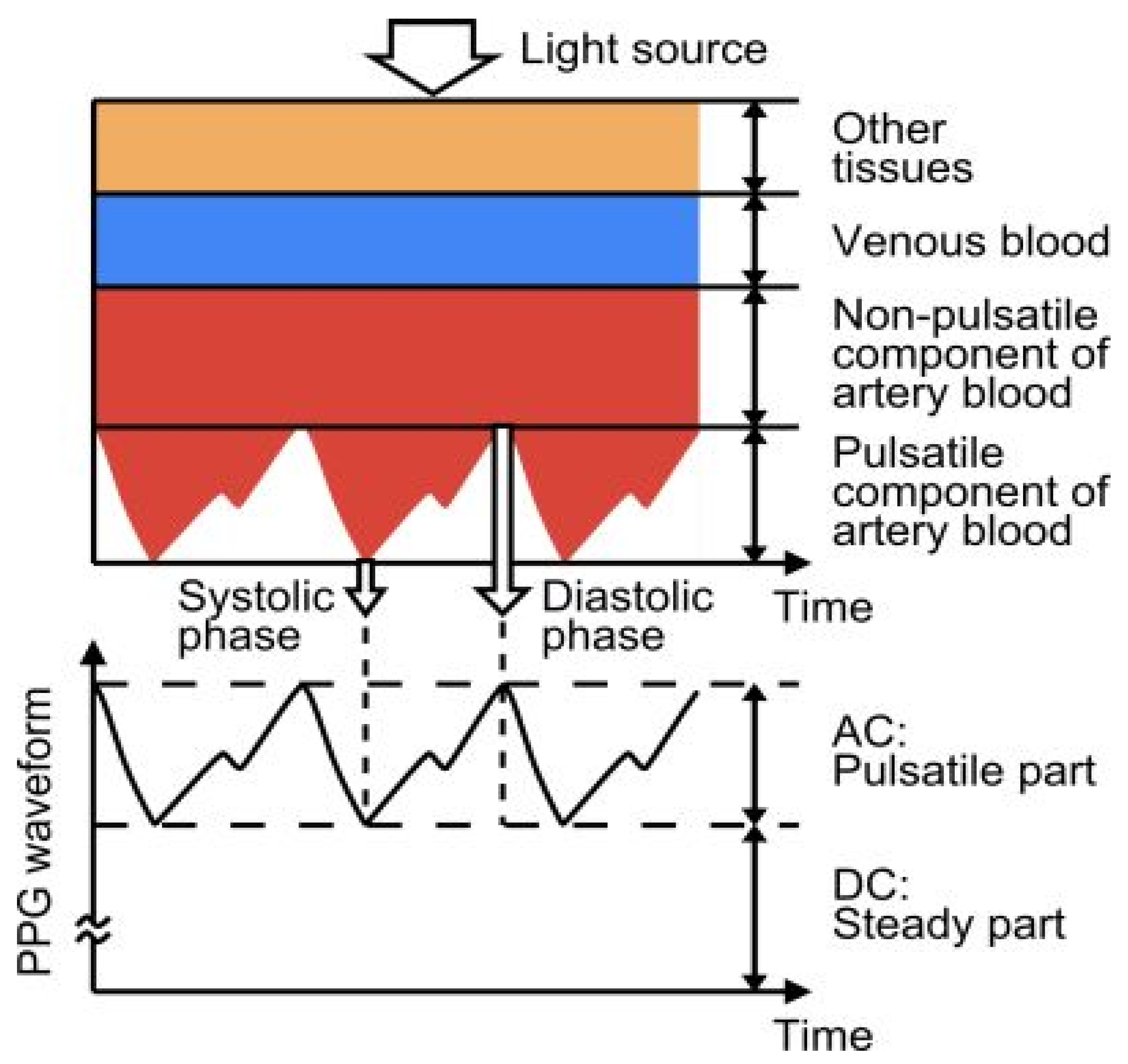 Biosensors 13 00181 g007
