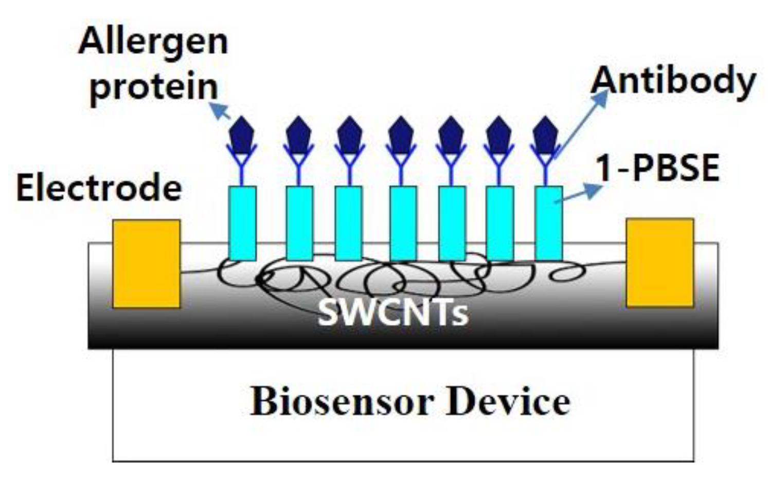 Biosensors 13 00183 g004