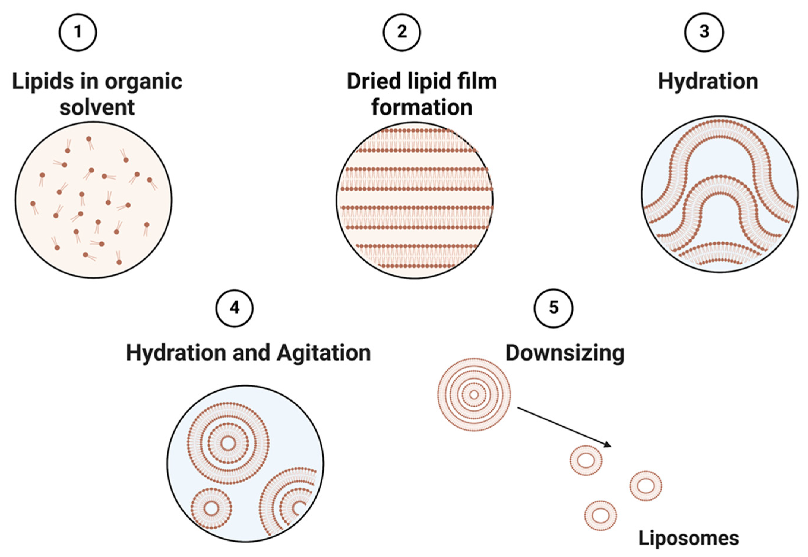 Biosensors 13 00189 g002 Biosensors 13 00189 g002