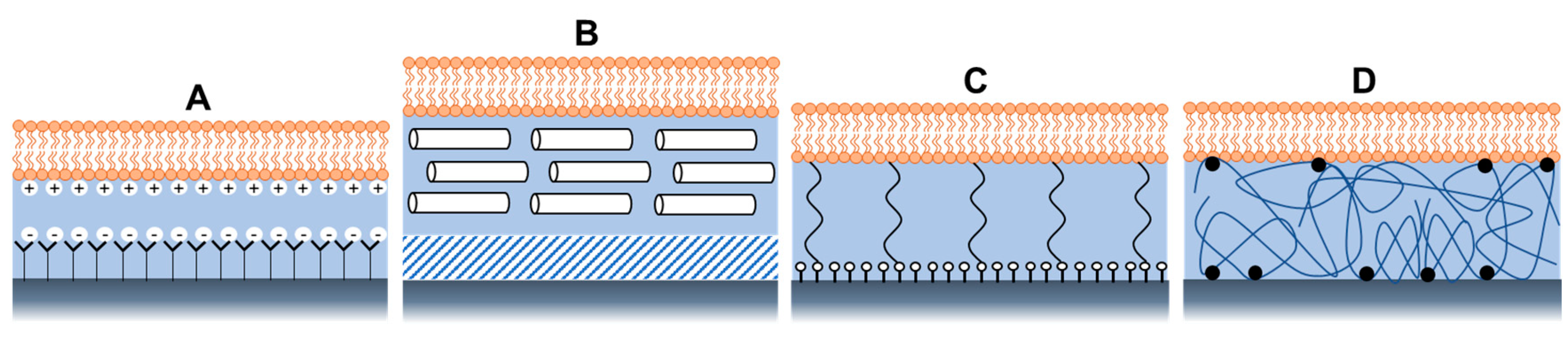 Biosensors 13 00189 g005 Biosensors 13 00189 g005