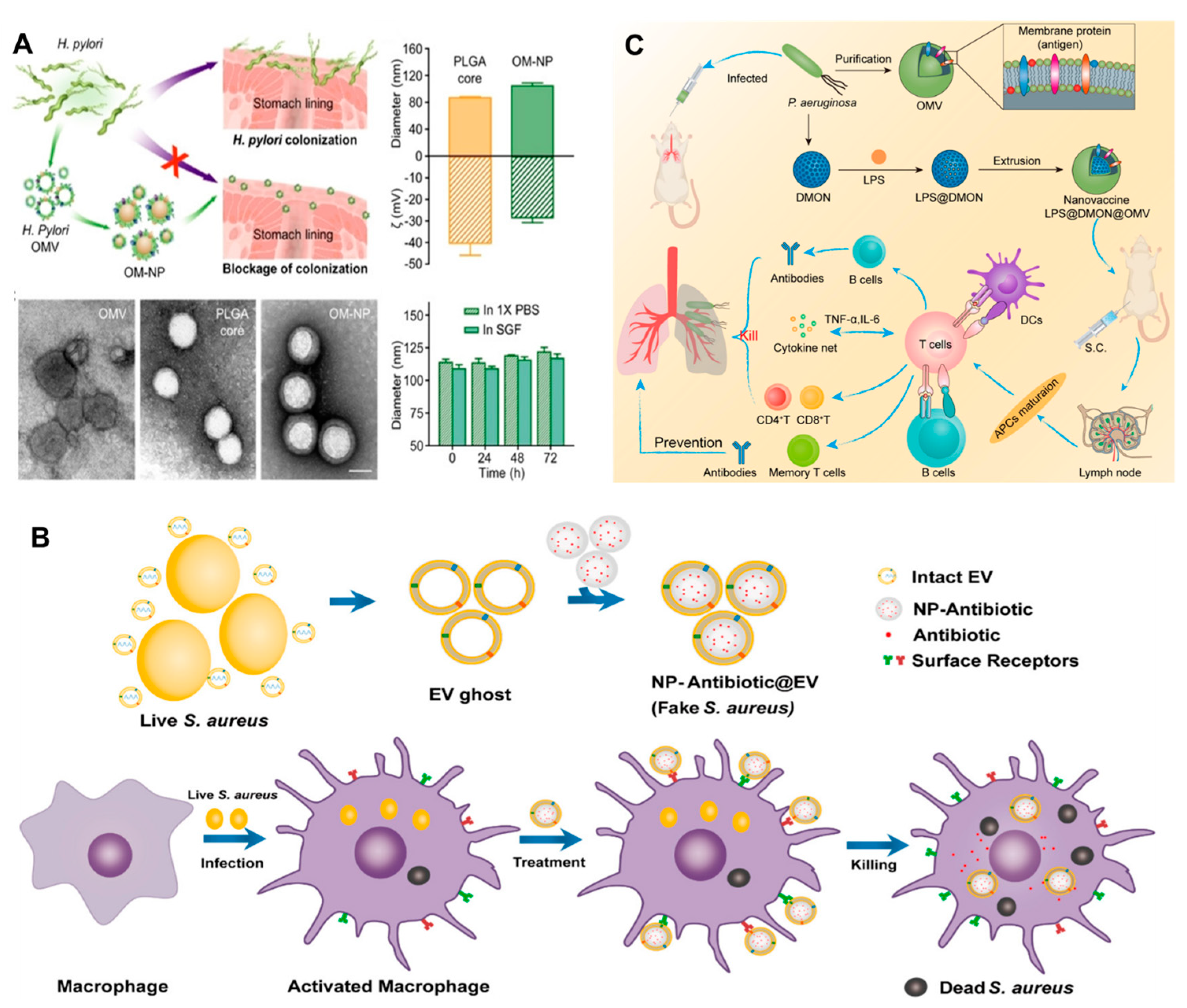 Biosensors 13 00189 g009 Biosensors 13 00189 g009