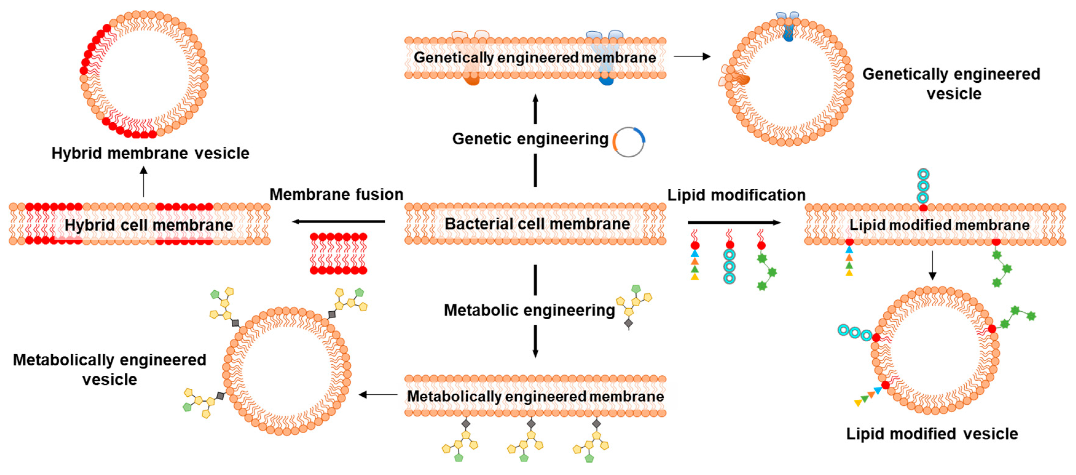 Biosensors 13 00189 g012 Biosensors 13 00189 g012