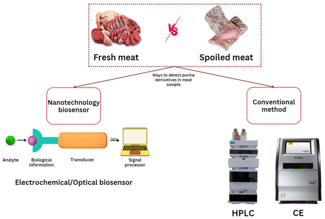 Biosensors 13 00217 g001