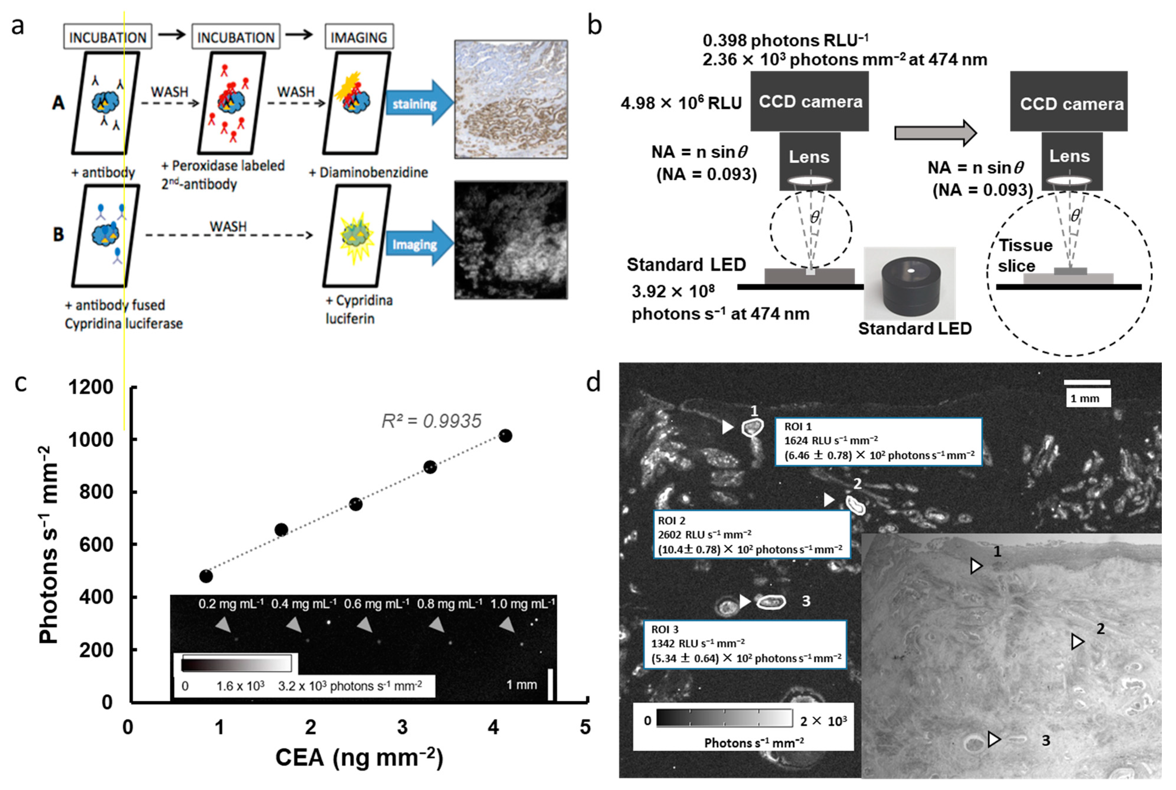 Biosensors 13 00223 g005