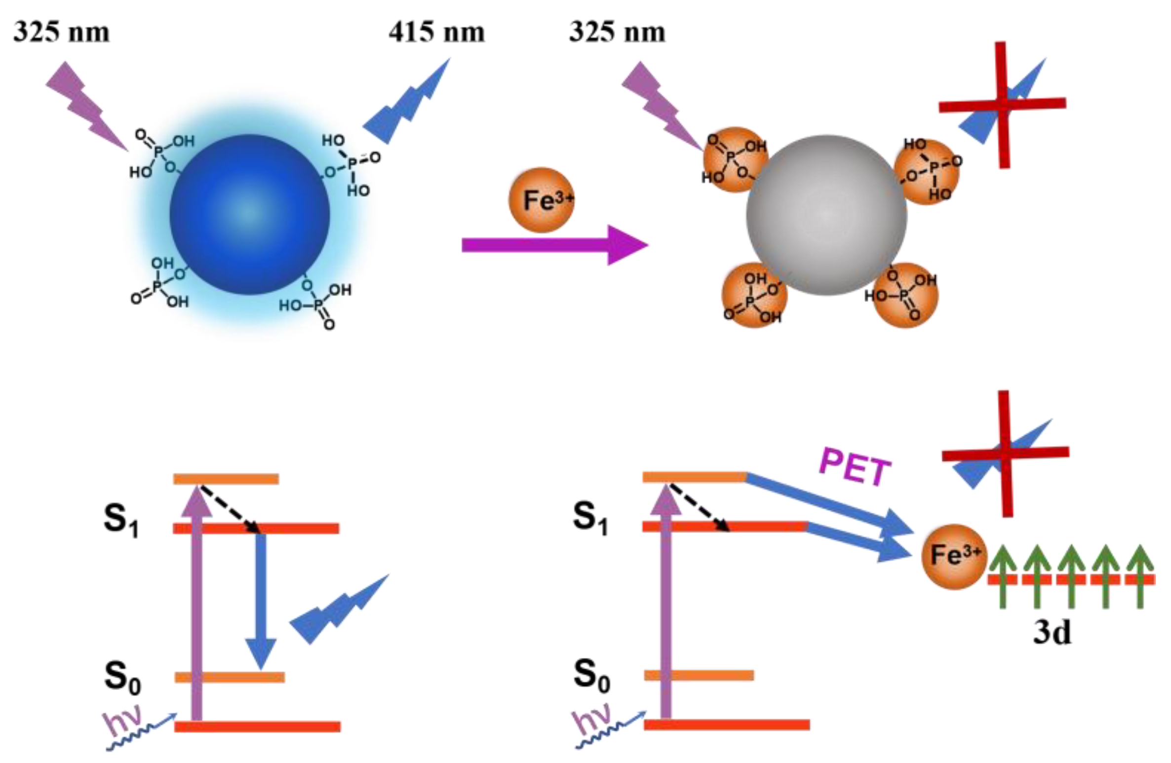 Biosensors 13 00230 g004 Biosensors 13 00230 g004