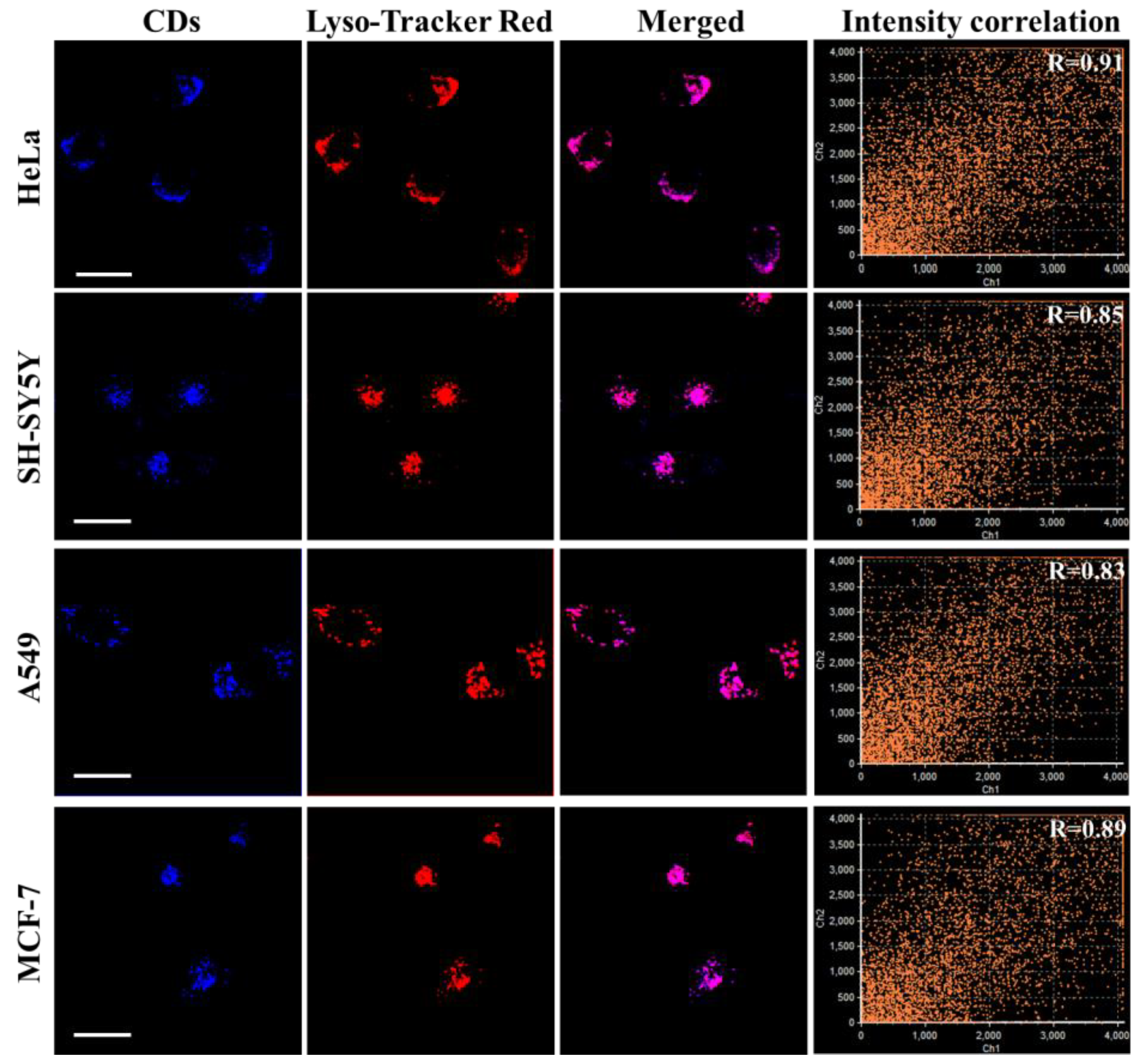 Biosensors 13 00230 g006 Biosensors 13 00230 g006