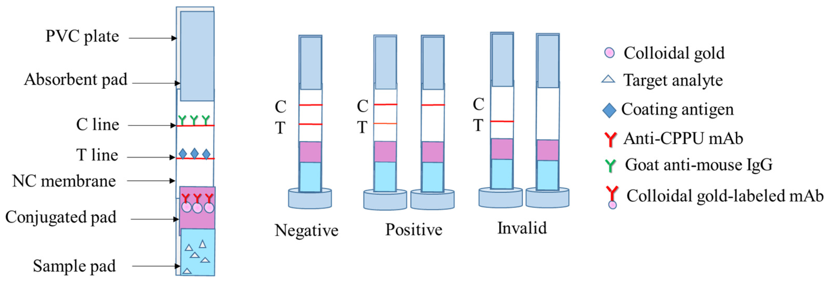 Biosensors 13 00239 g002