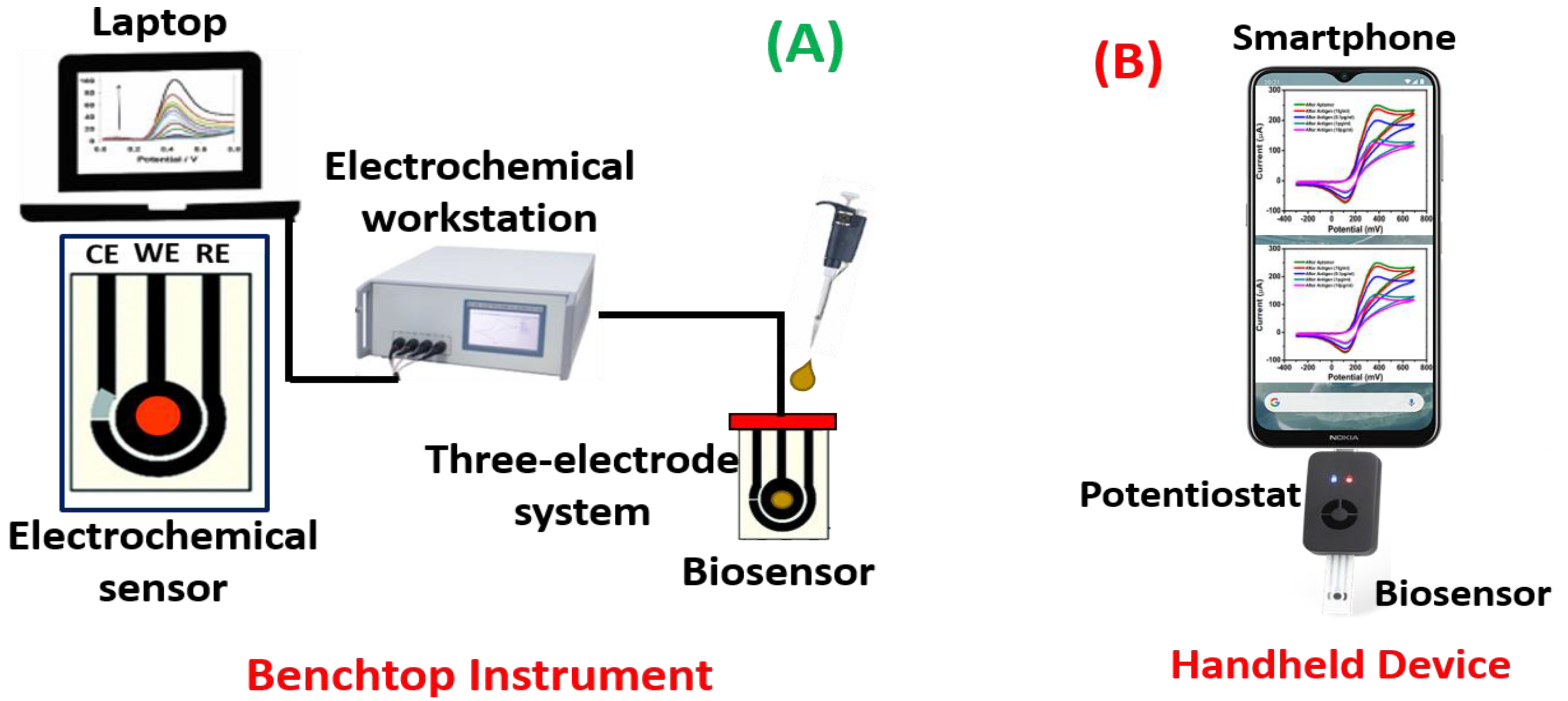 Biosensors 13 00246 g005
