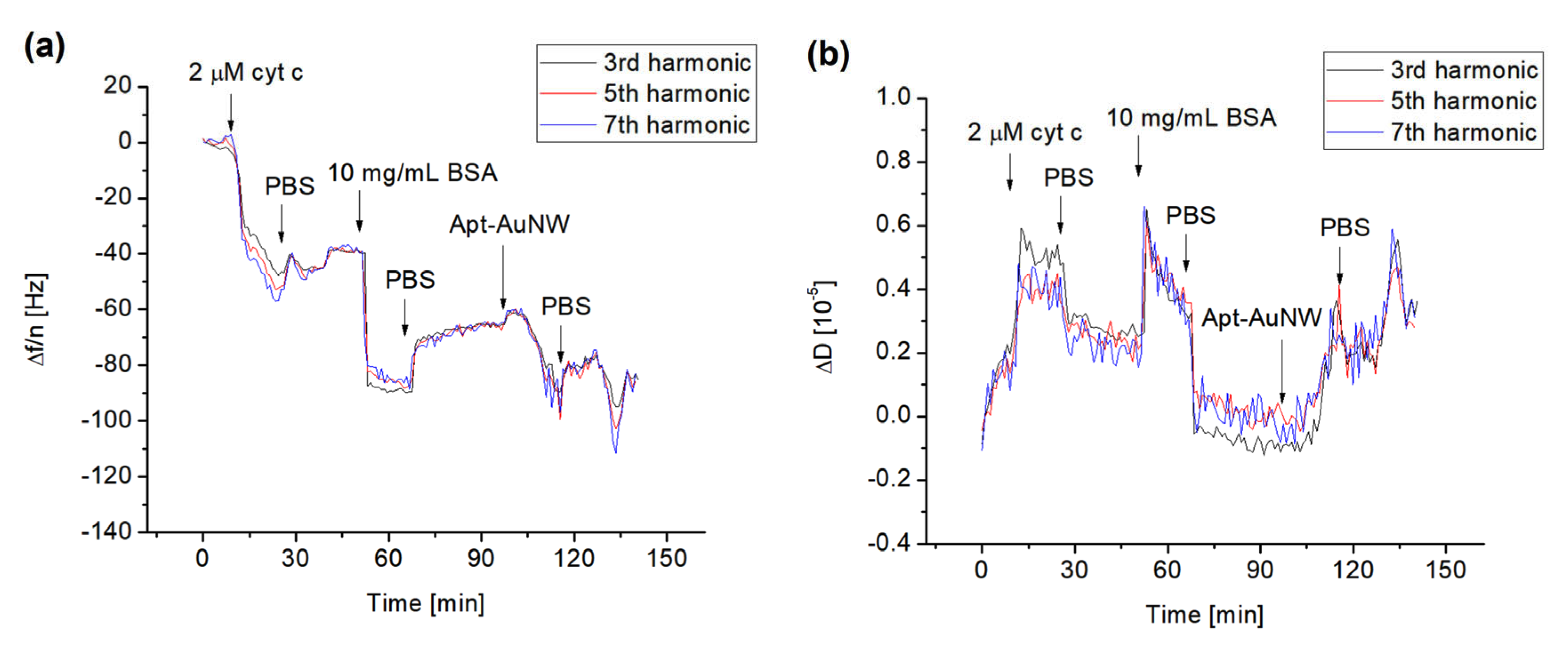 Biosensors 13 00251 g005